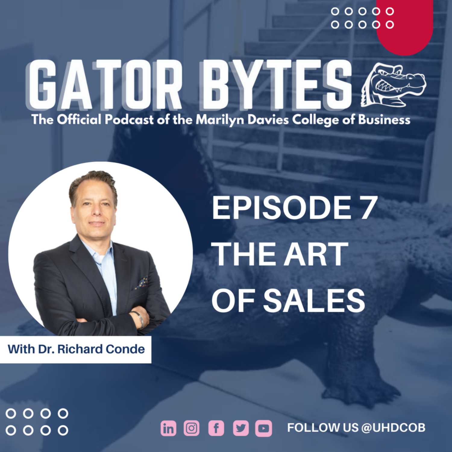 Gator Bytes