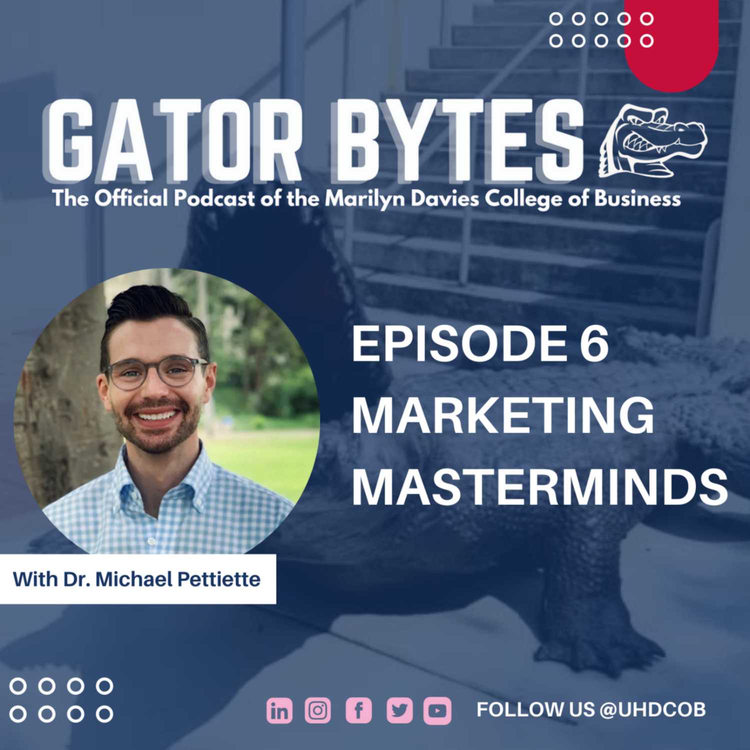 Gator Bytes