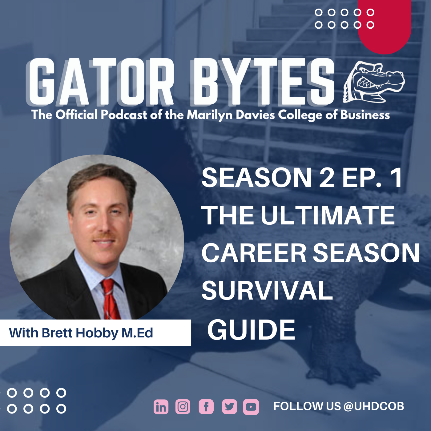 Gator Bytes