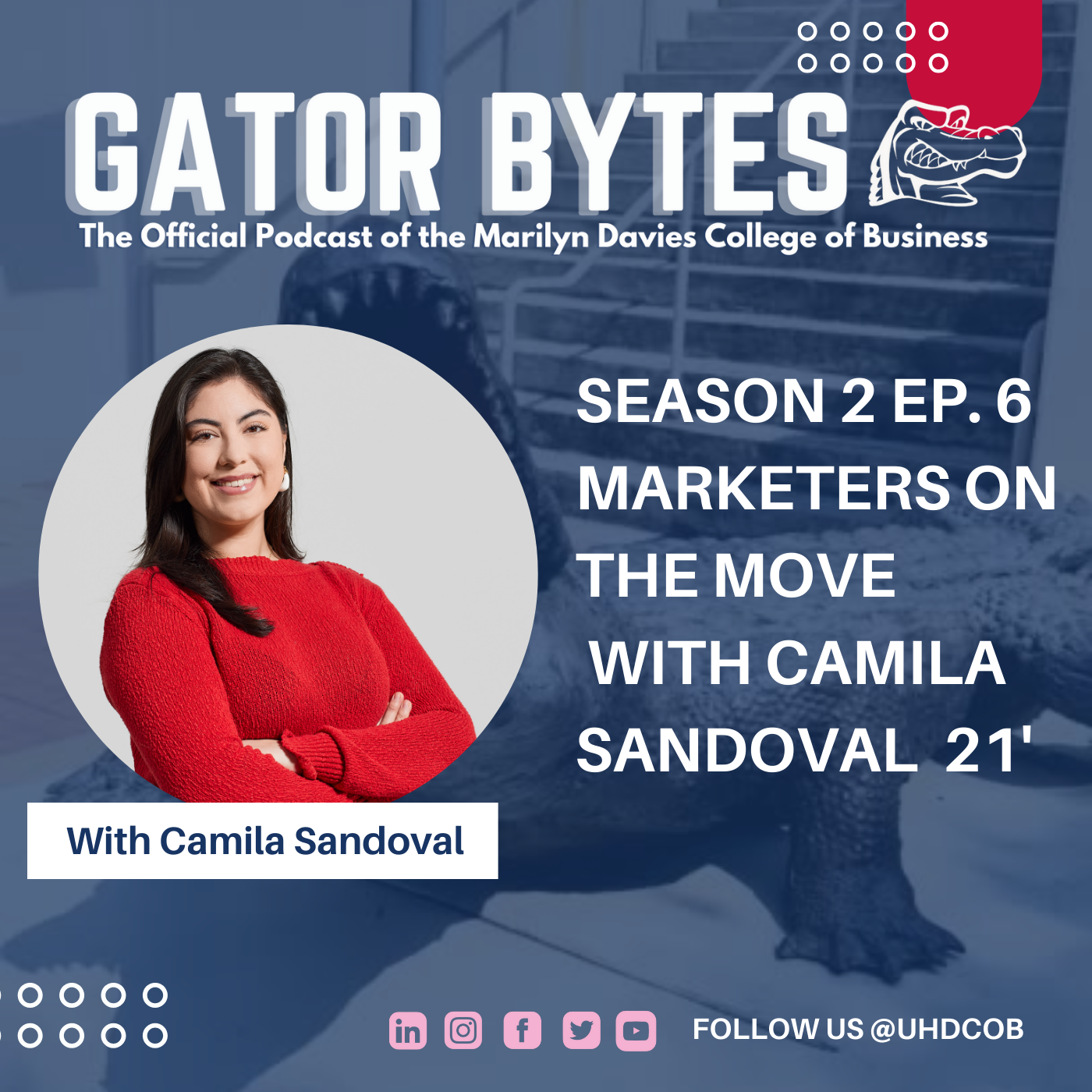 Gator Bytes