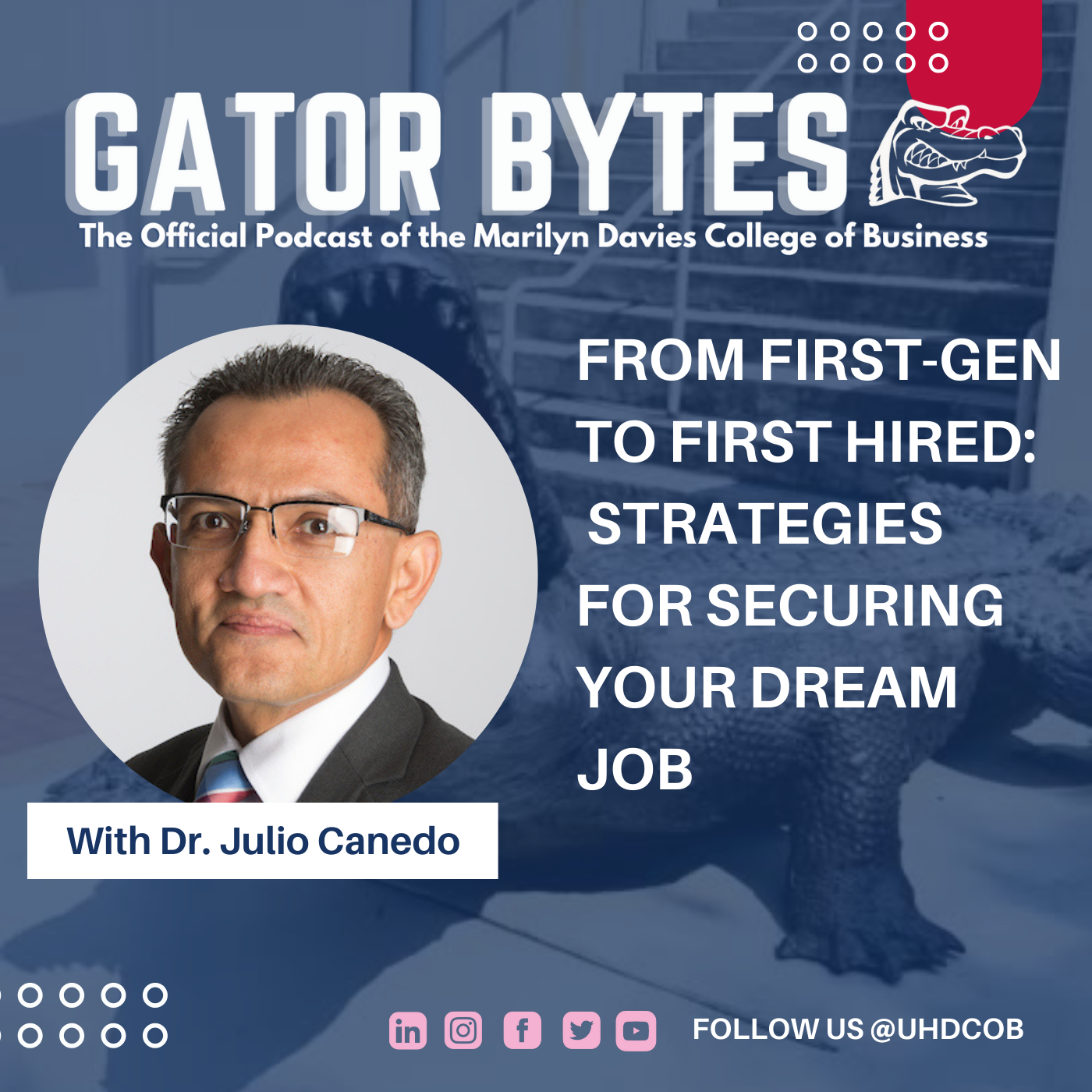 Gator Bytes