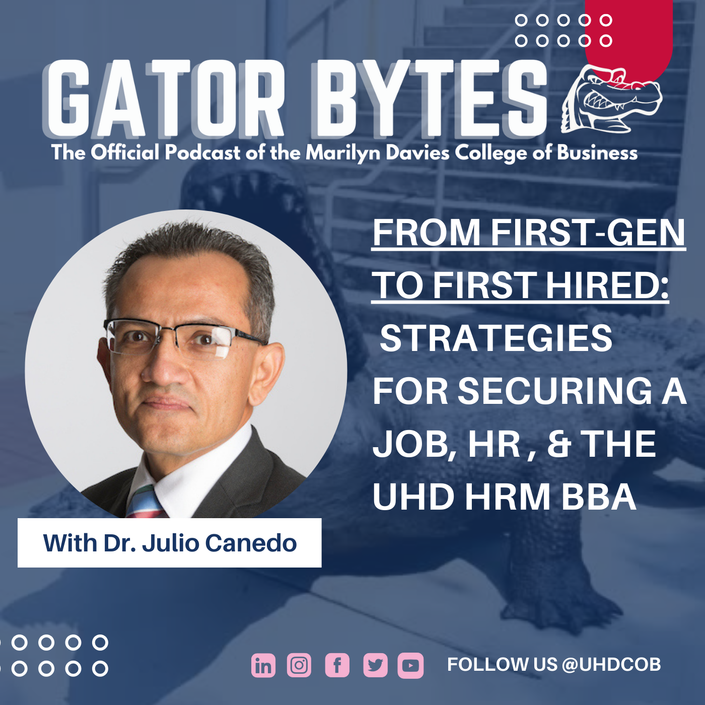 Gator Bytes