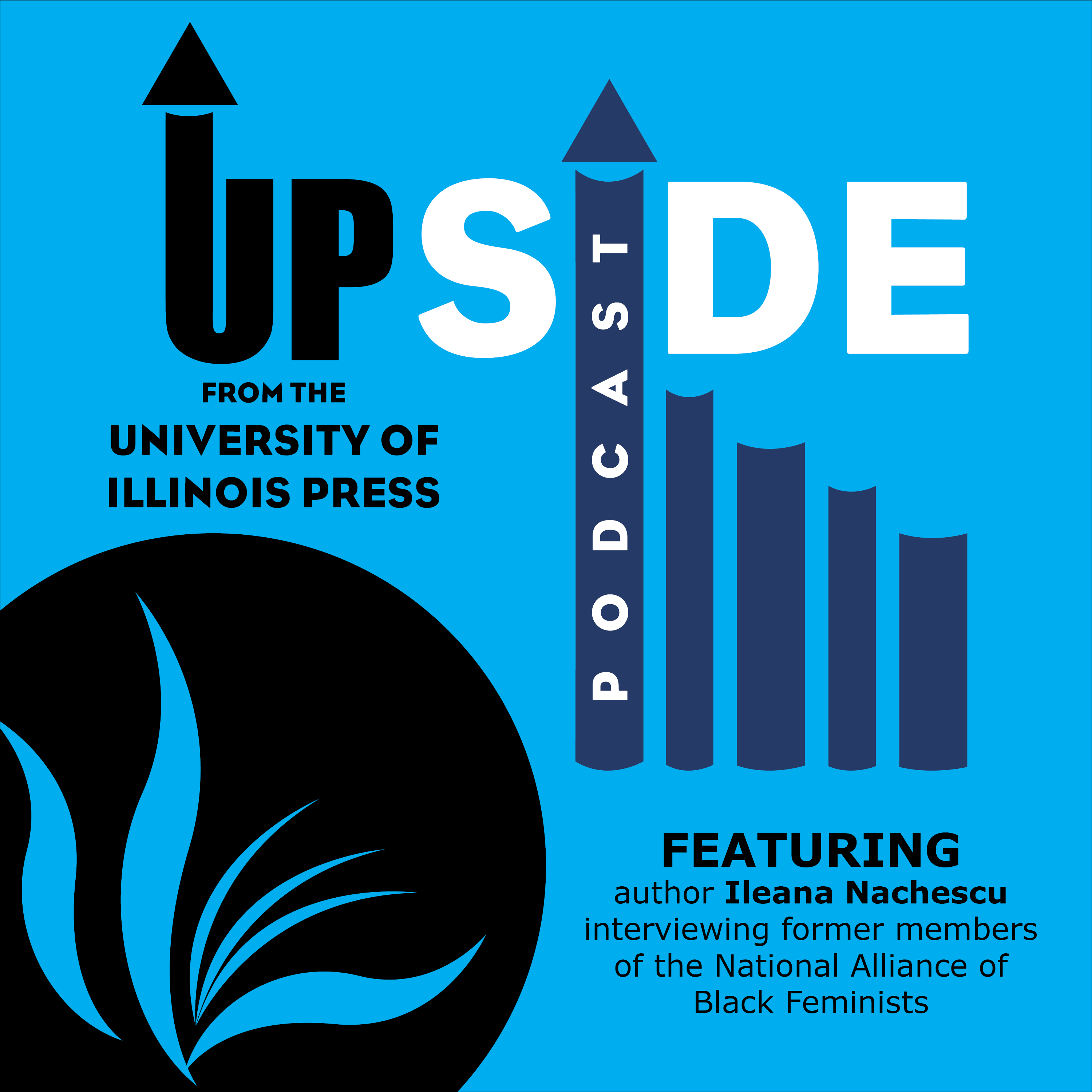 Ileana Nachescu and former members of the National Alliance of Black Feminists episode artwork