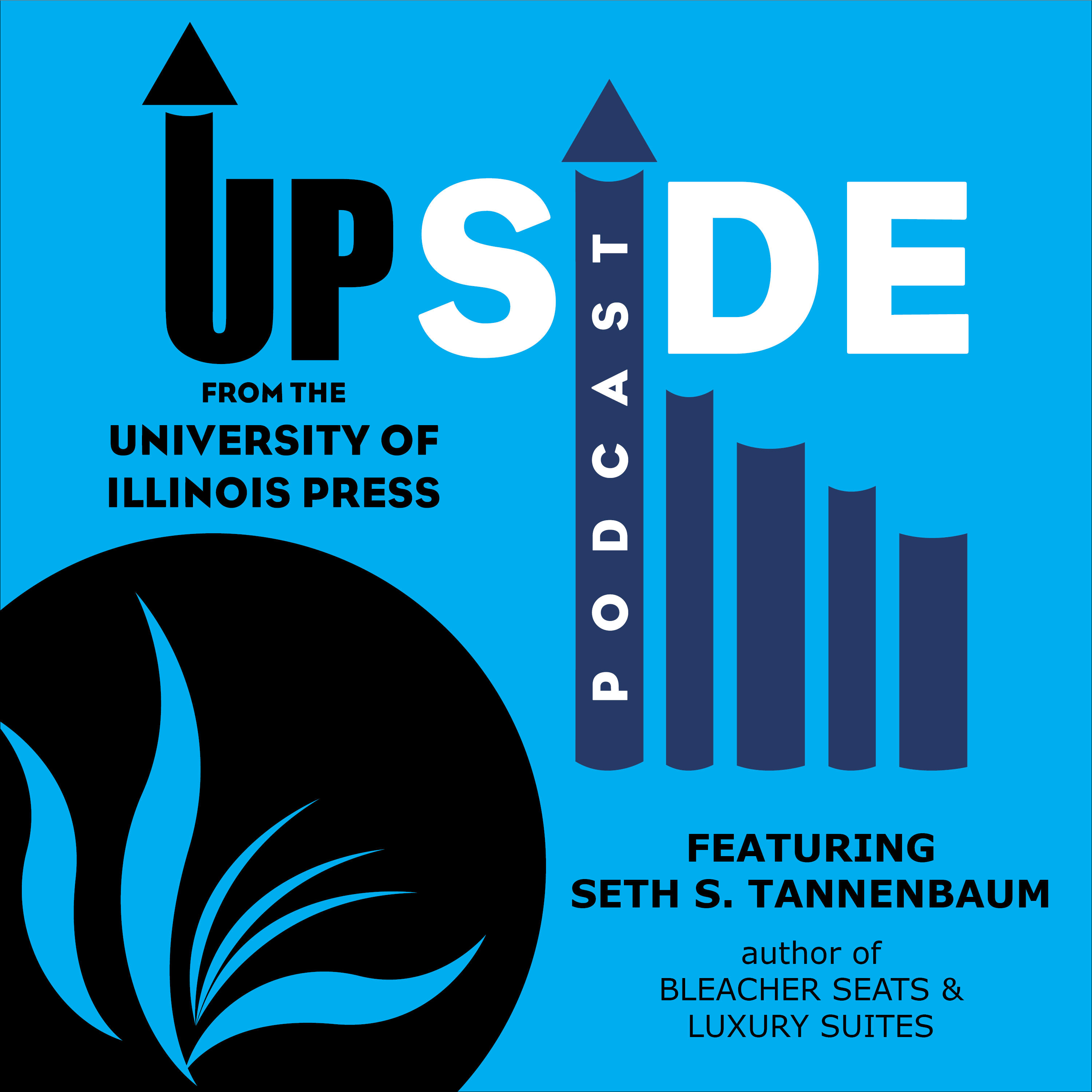 Interview with Seth S. Tannenbaum, author of BLEACHER SEATS & LUXURY SUITES episode artwork