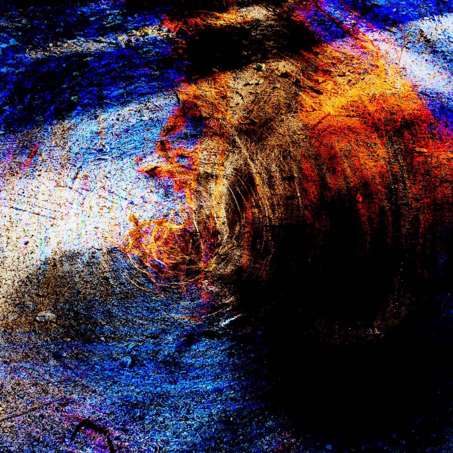 #115. DNA'ets natur