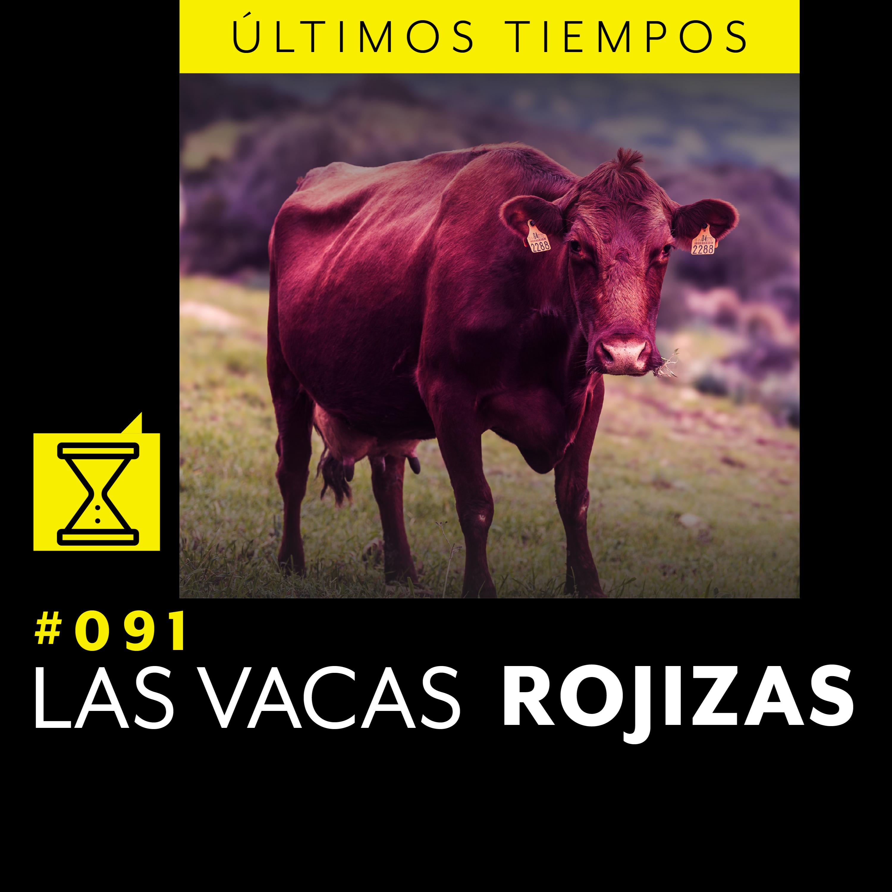 Últimos tiempos