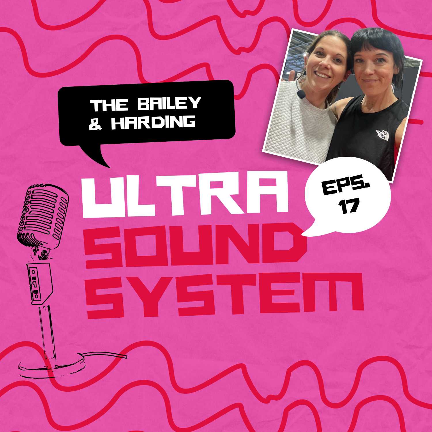 The Bailey And Harding Ultra Sound System