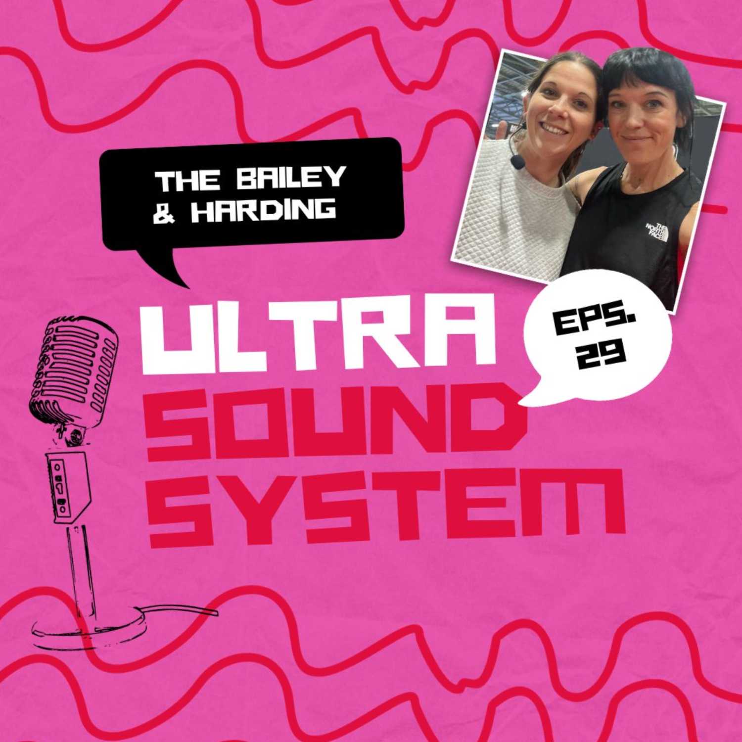 The Bailey And Harding Ultra Sound System