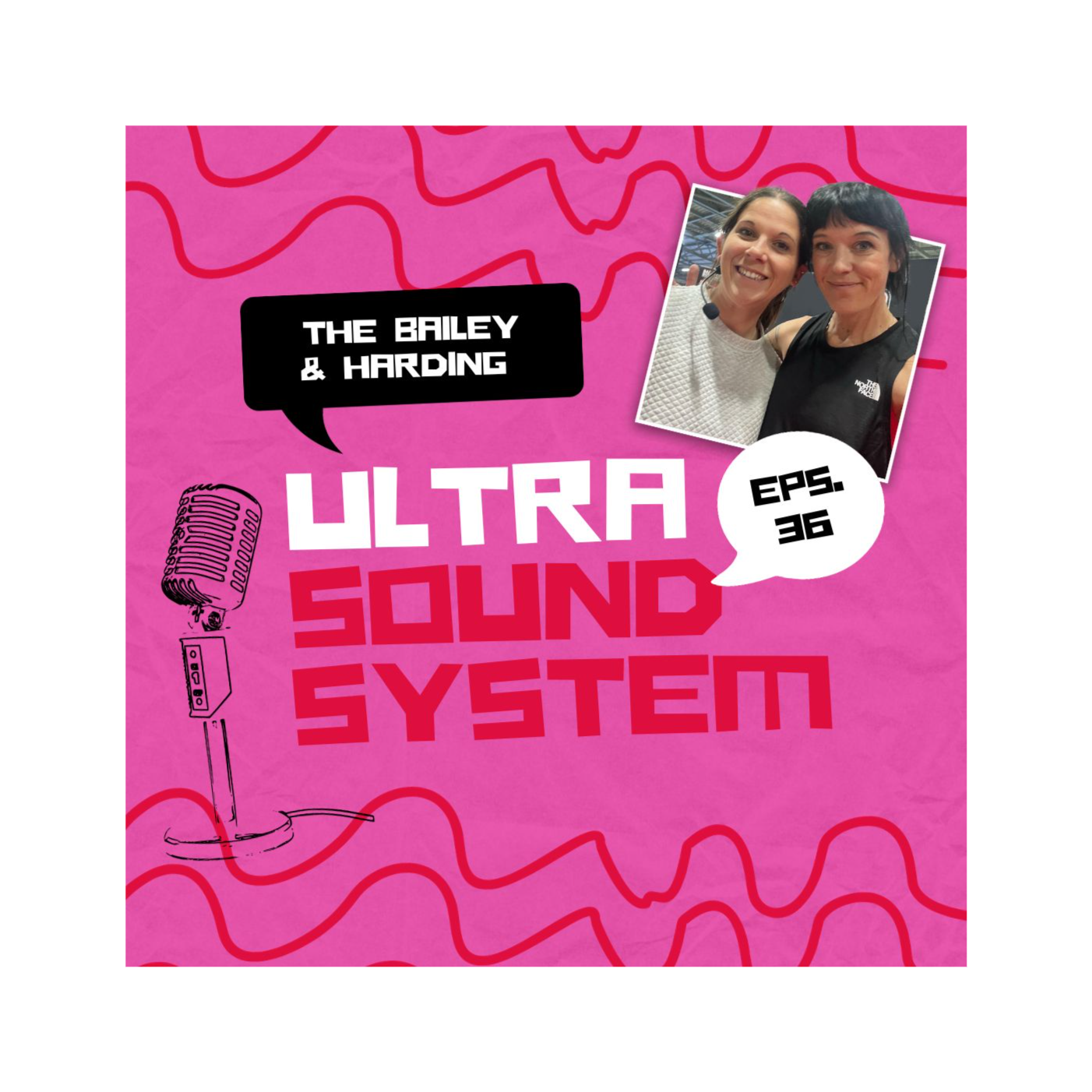 The Bailey And Harding Ultra Sound System