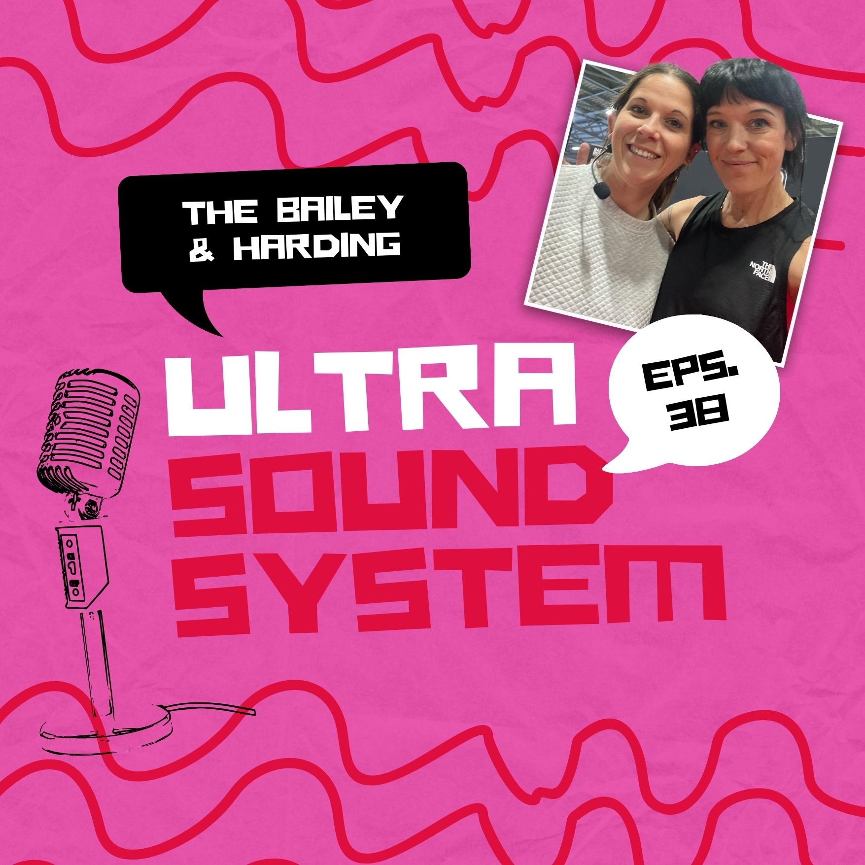 The Bailey And Harding Ultra Sound System