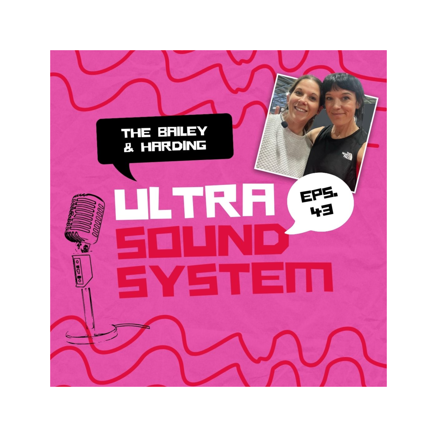 The Bailey And Harding Ultra Sound System