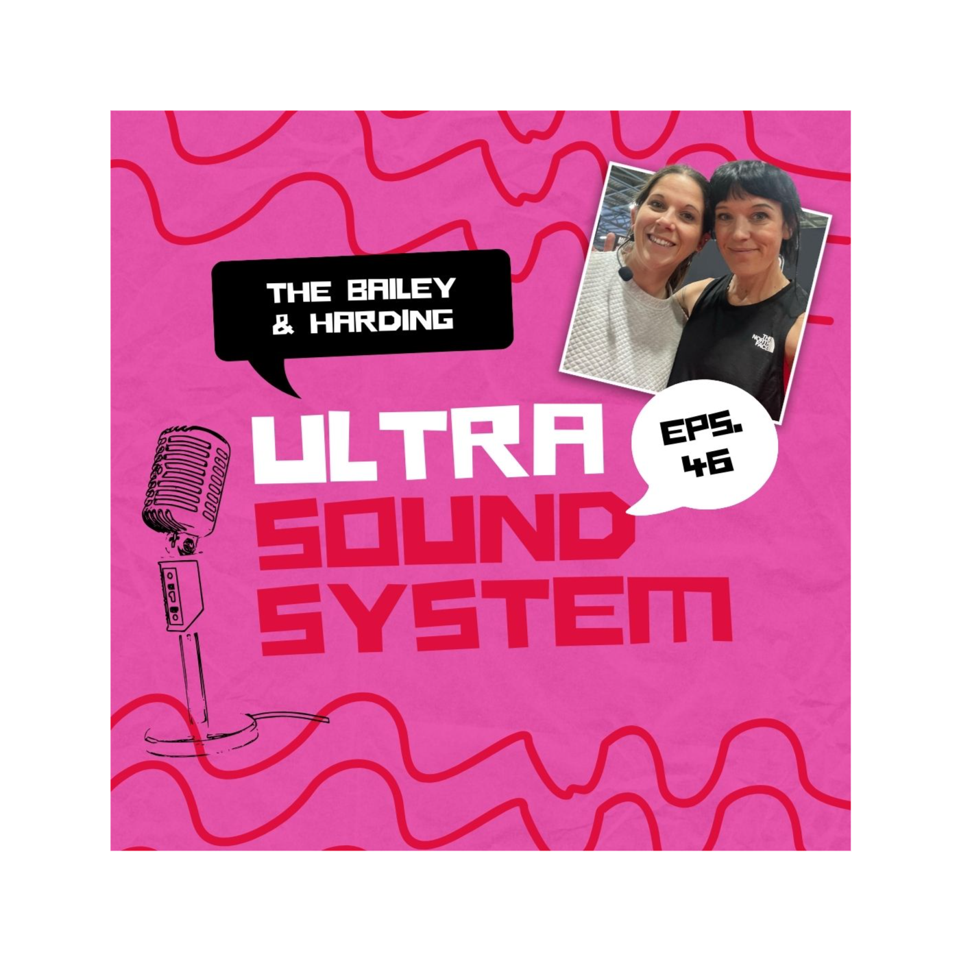 The Bailey And Harding Ultra Sound System