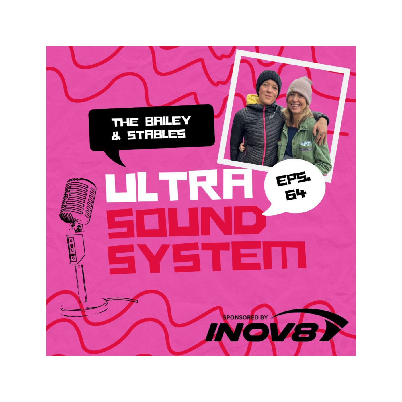 The Bailey And Harding Ultra Sound System