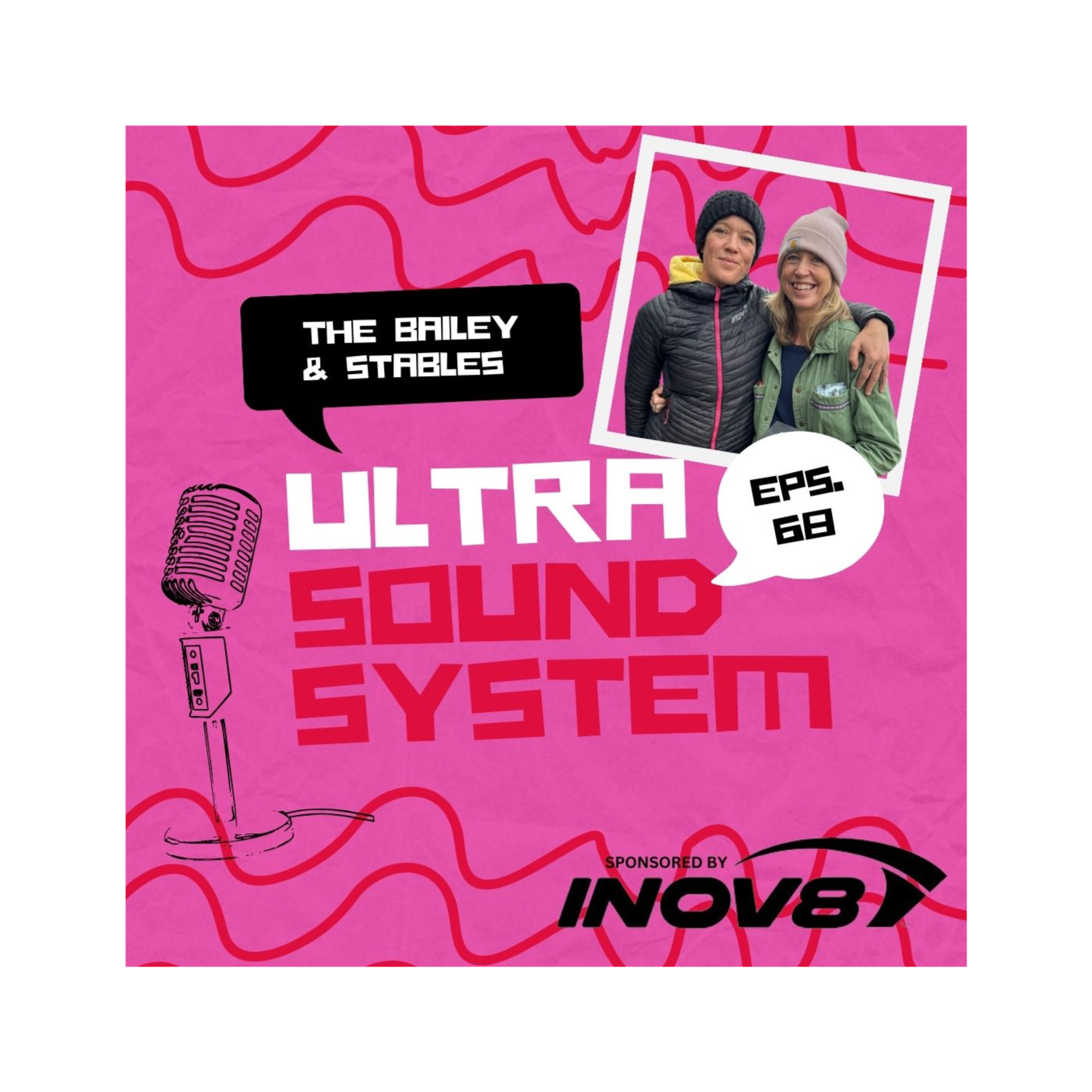 The Bailey And Harding Ultra Sound System