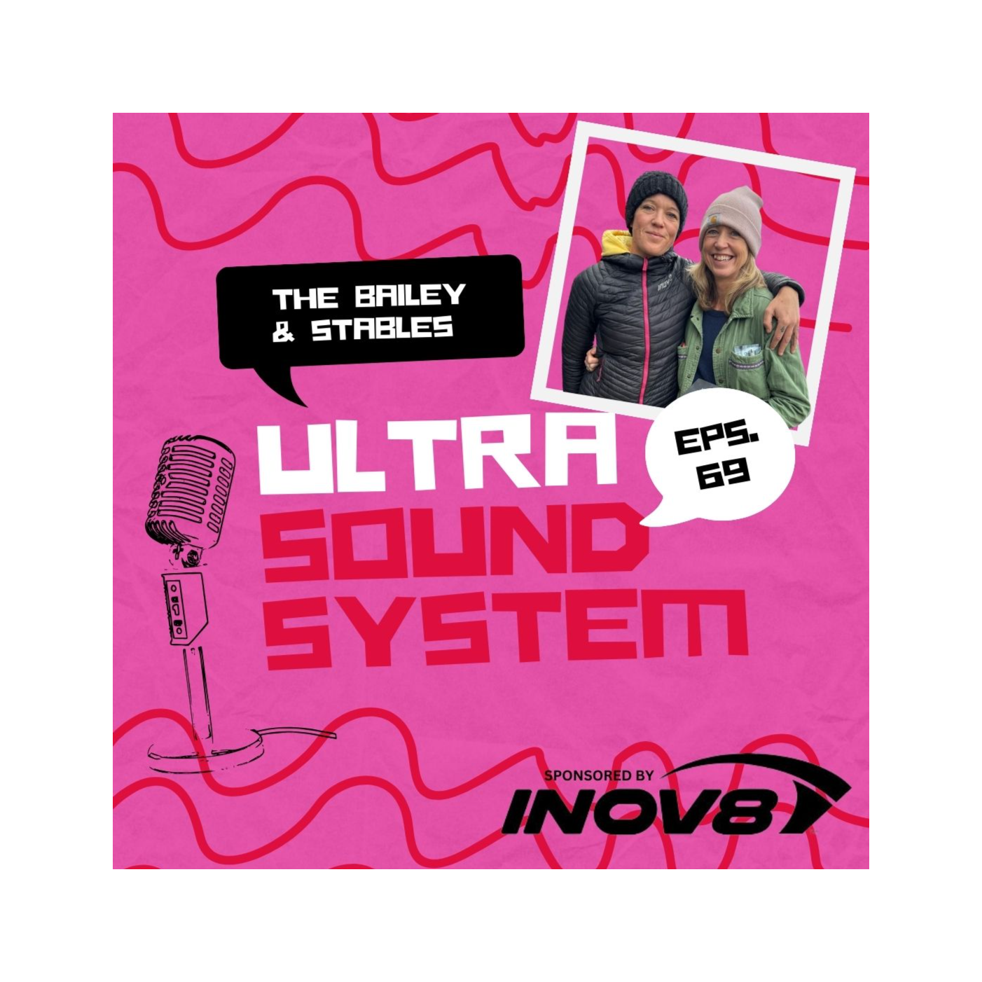 The Bailey And Harding Ultra Sound System
