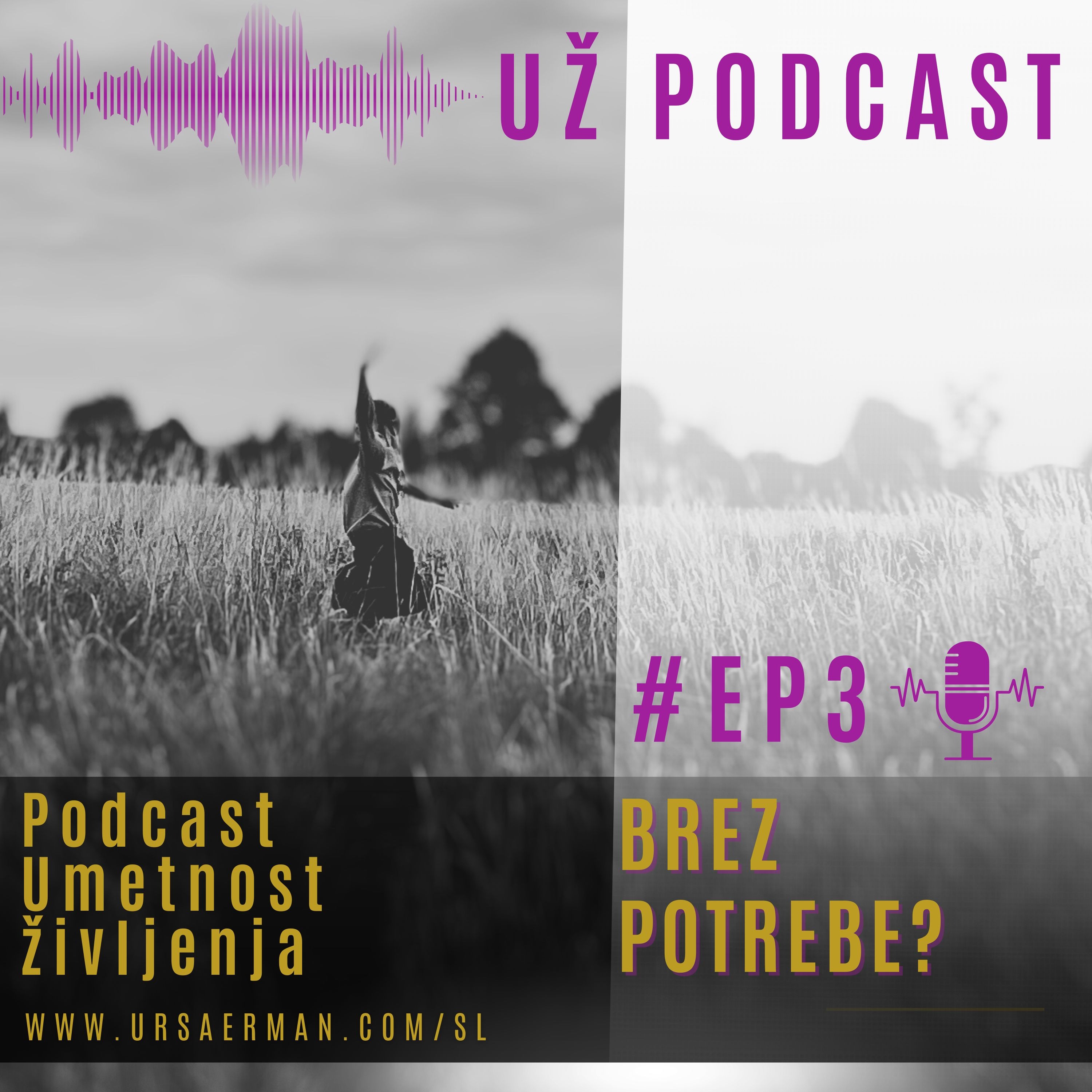 EP3: Brez potrebe? episode artwork