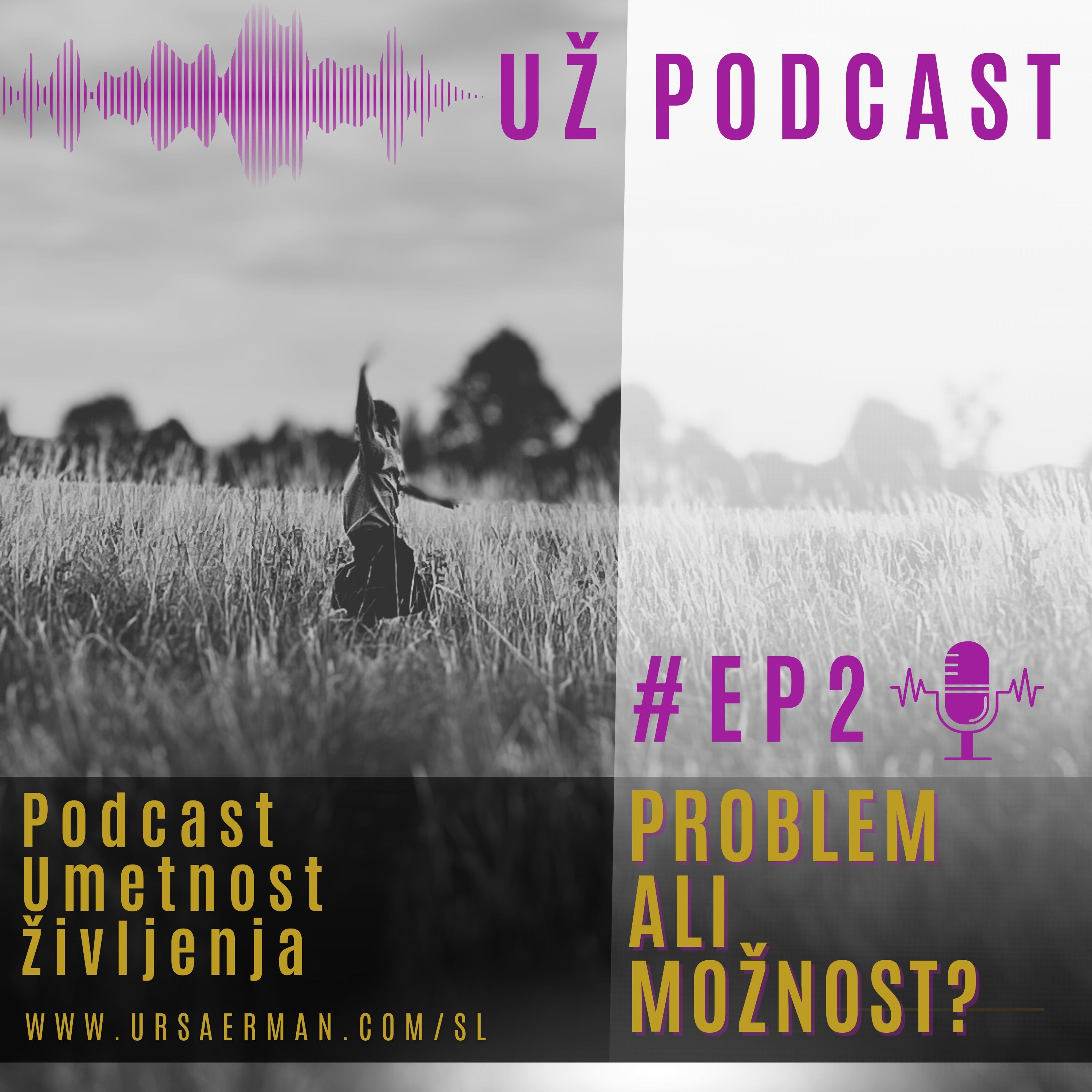 EP2: Problem ali možnost? episode artwork