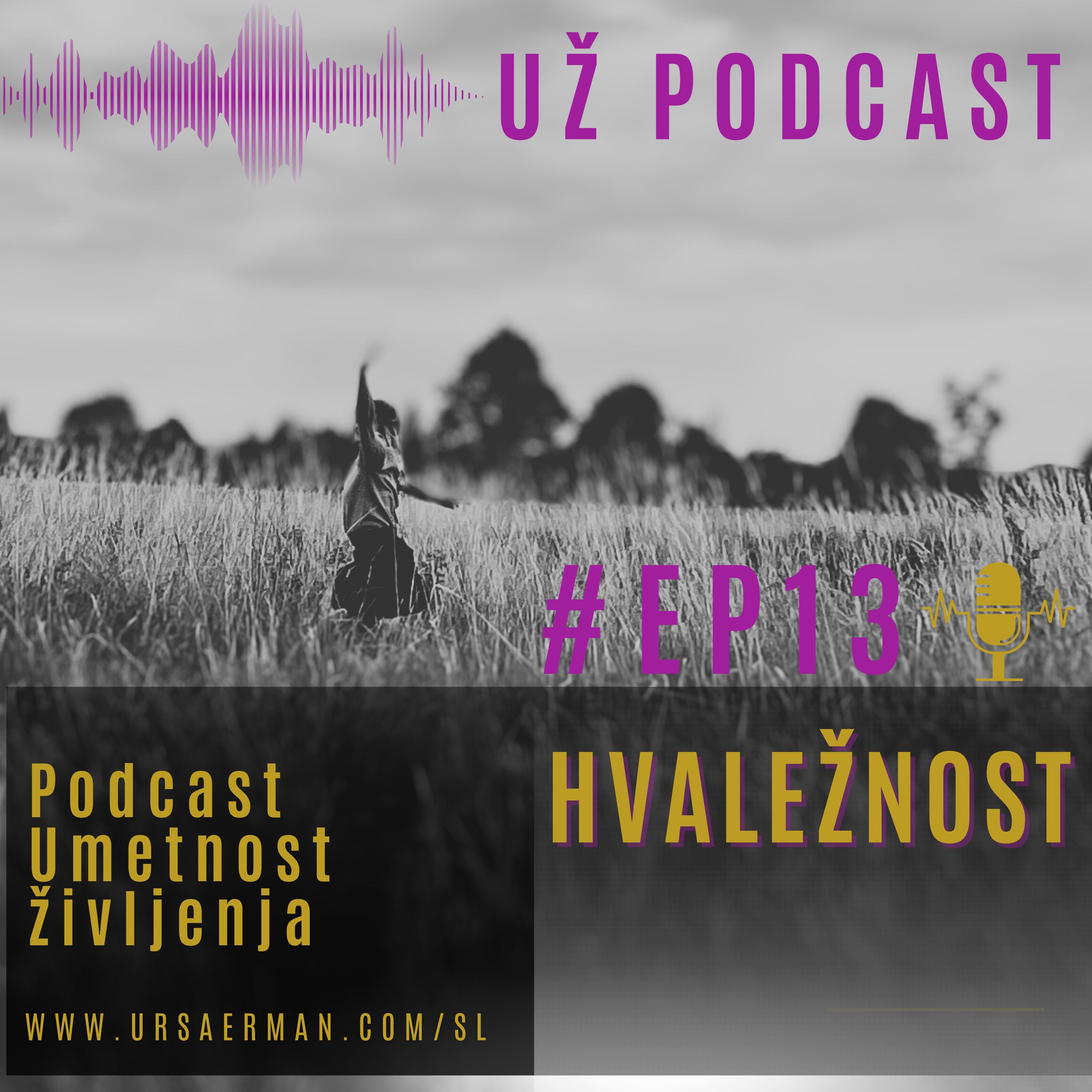 Ep13: Hvaležnost episode artwork