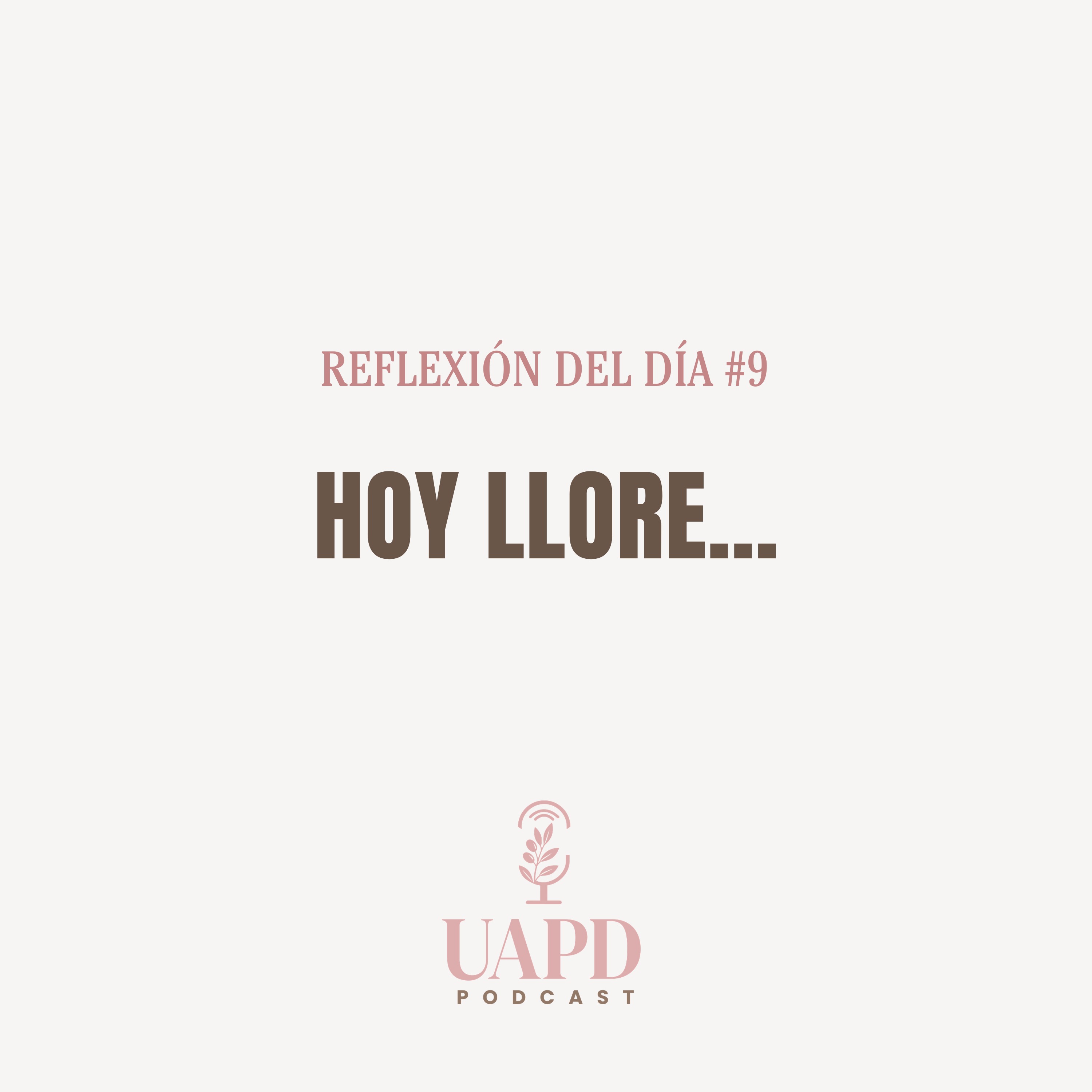 REFLEXIÓN DEL DIA #9 - HOY LLORE