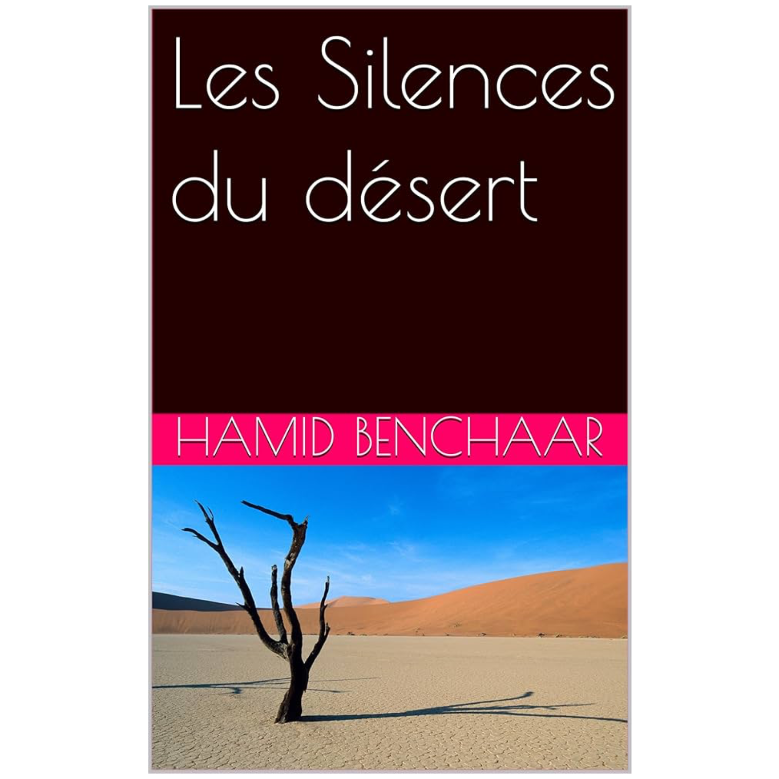 Dans l’enfer d’Amgala episode artwork