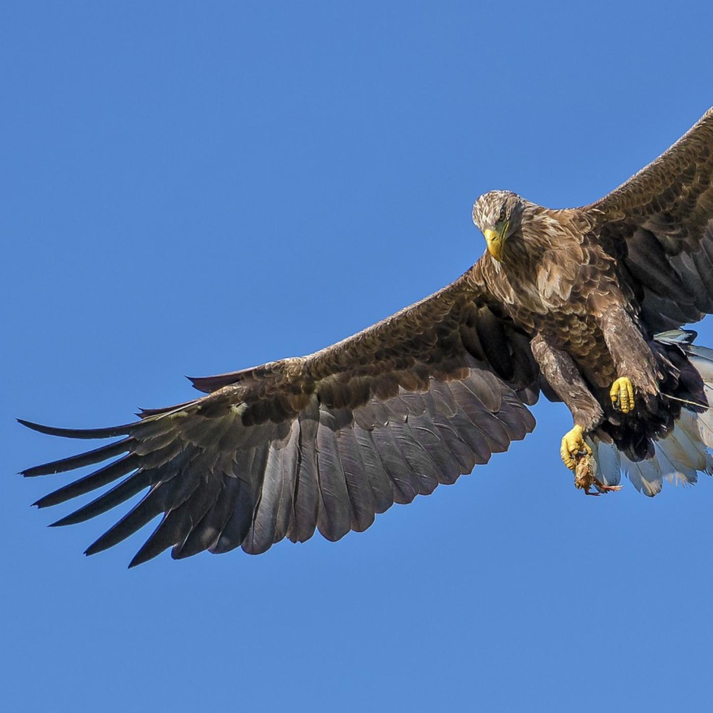 Un susurro en el viento