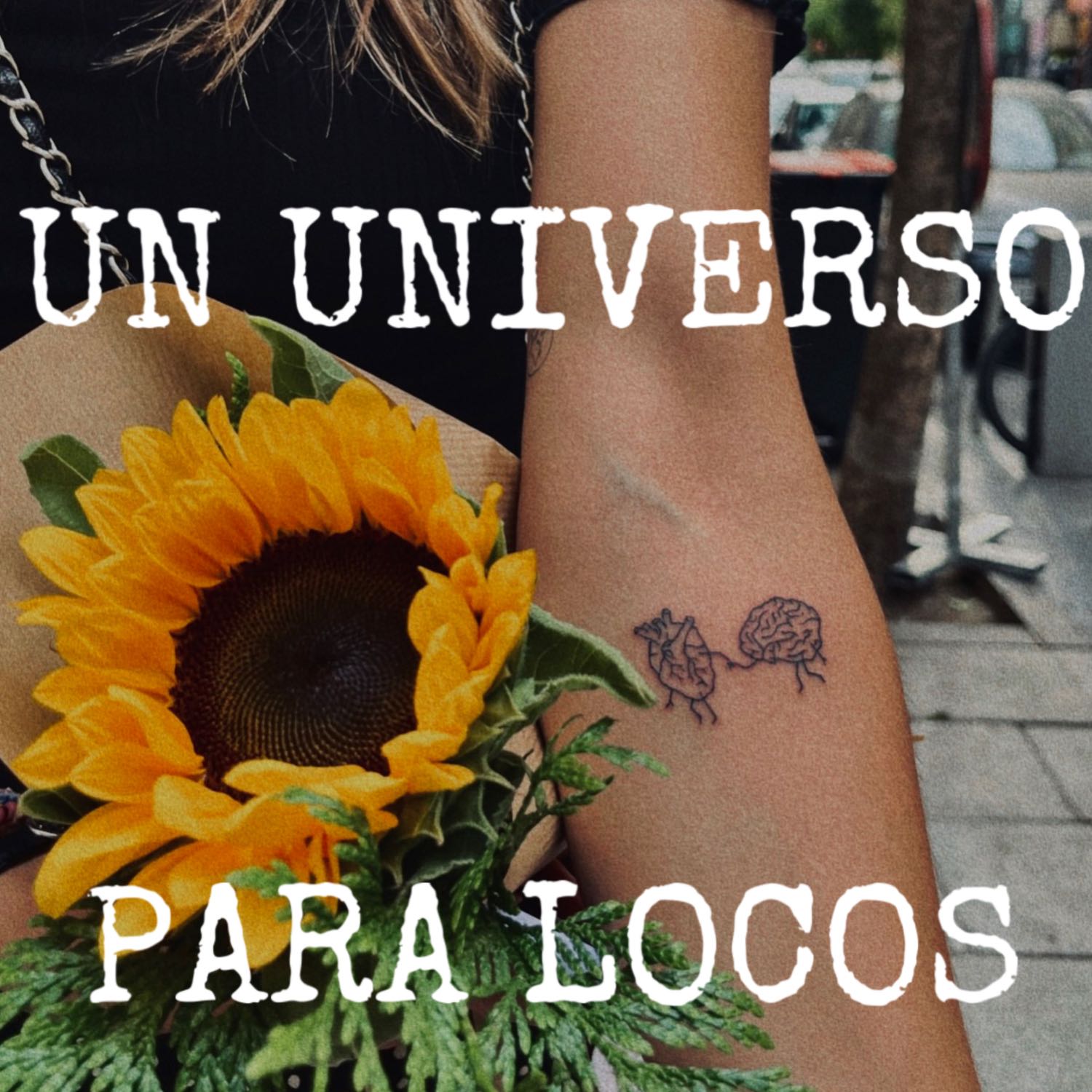 Un Universo para Locos