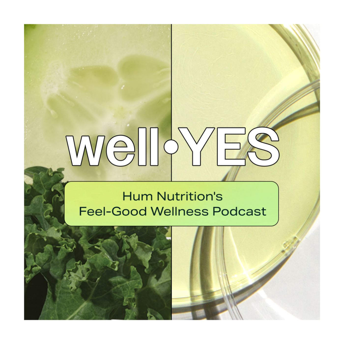 WellYES: HUM Nutrition Fell-Good Podcast