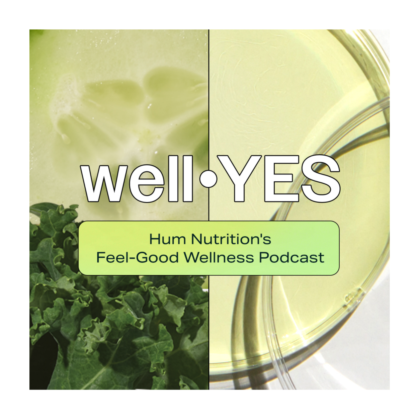 All About Fiber: The Hero of Gut Health