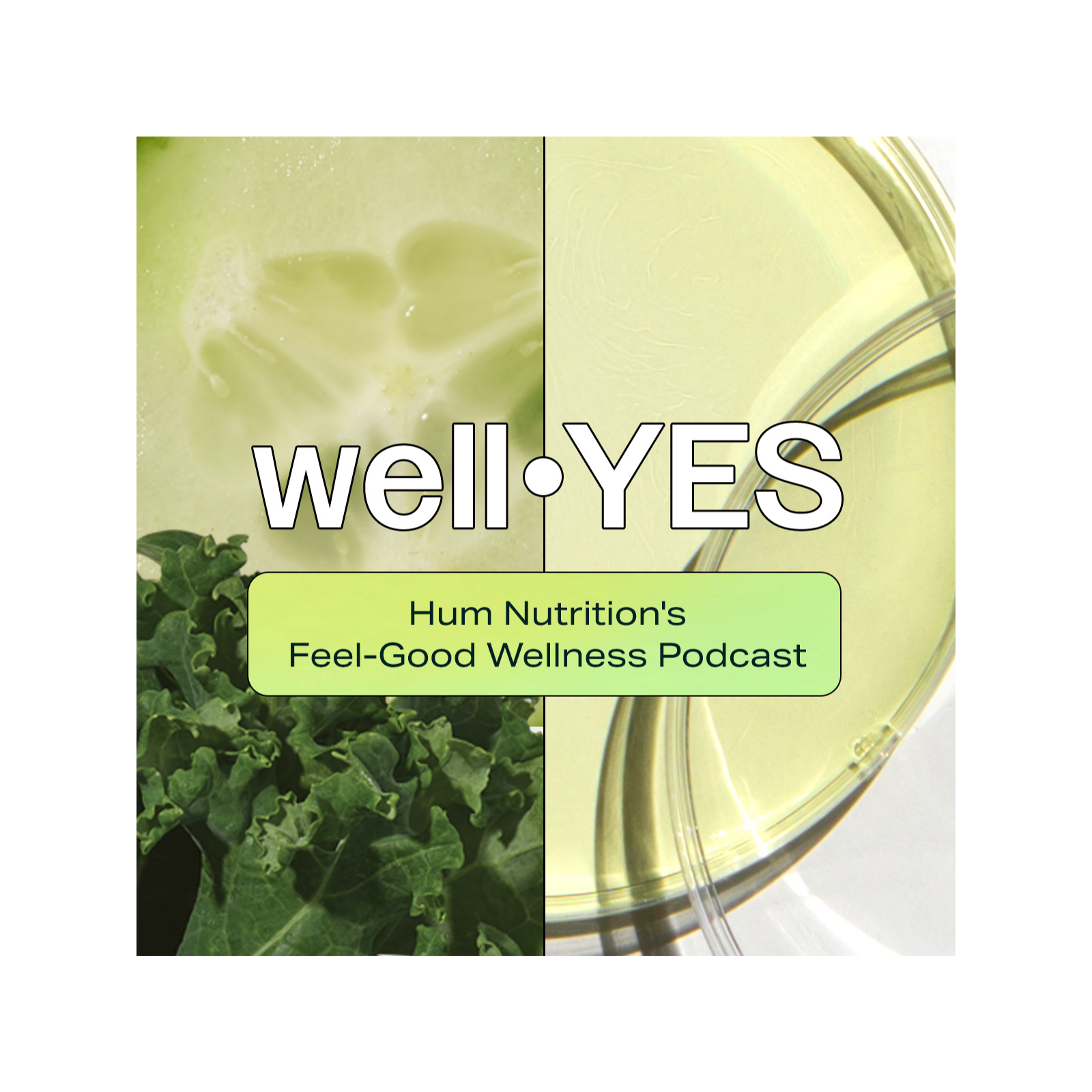 Liver Health 101: Detox Myths, Metabolism, and How to Support Your Liver Naturally