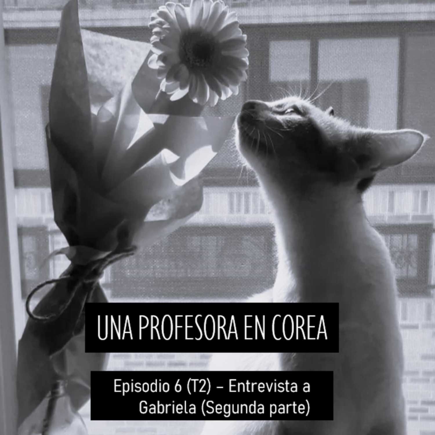 Una profesora en Corea