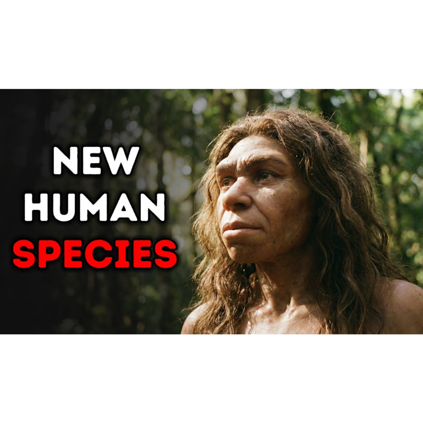 The Unsolved Mystery of a New Human Species episode artwork