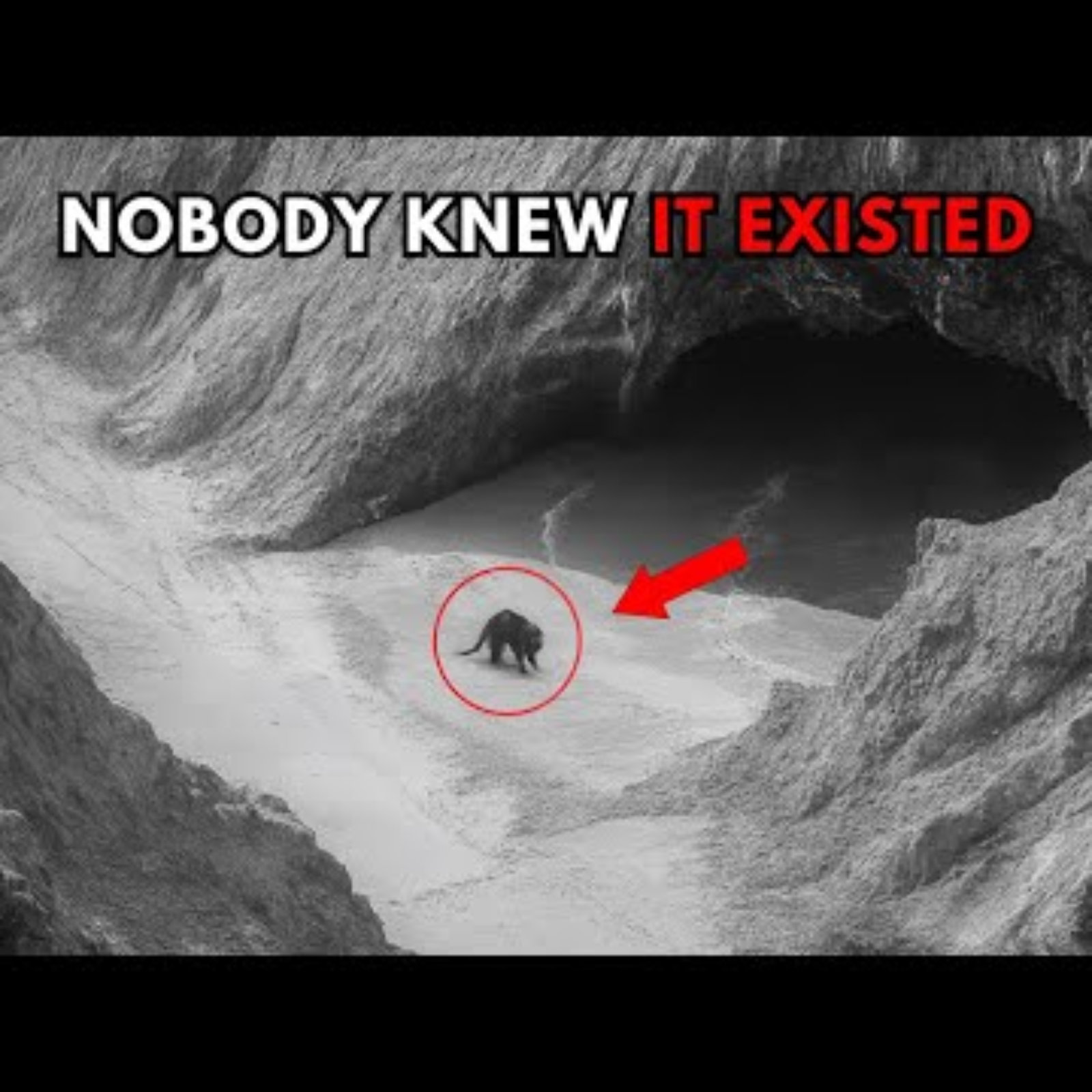 197 Scary Unsolved Mysteries That Will Make You Question Reality - Life 6.8 Million Years Ago episode artwork