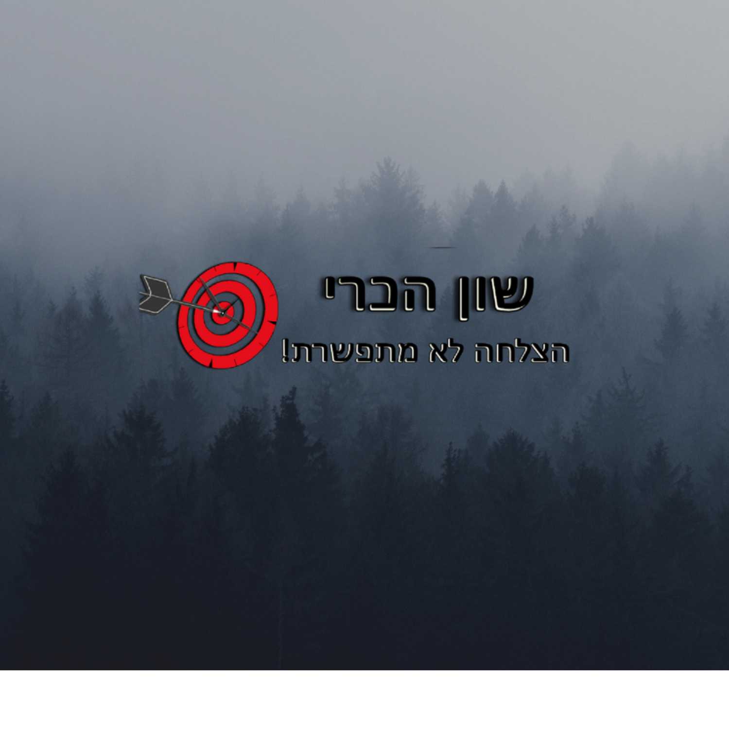 הצלחה לא מתפשרת
