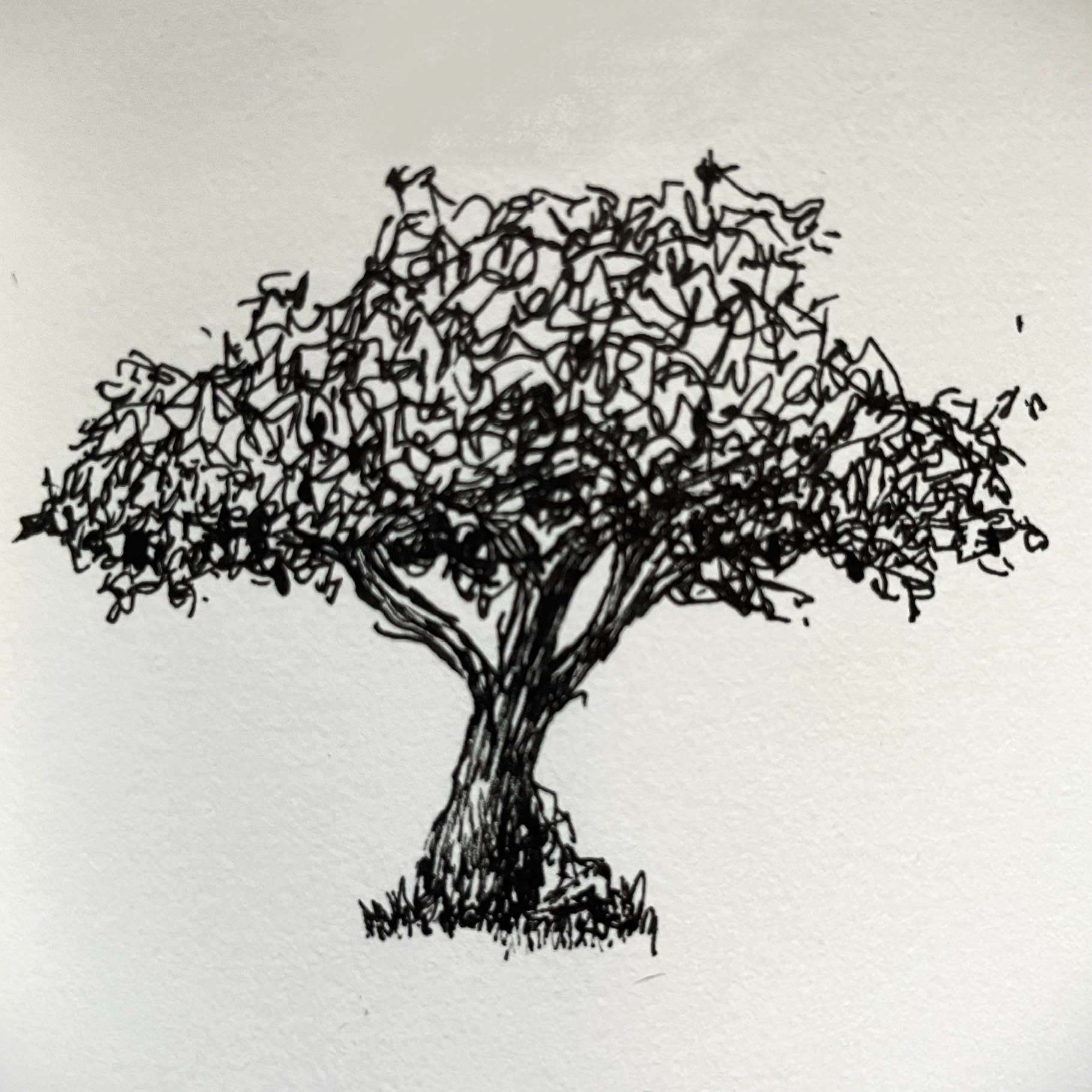 Under the Fig Tree with Nathanael: Chapter by Chapter cover art