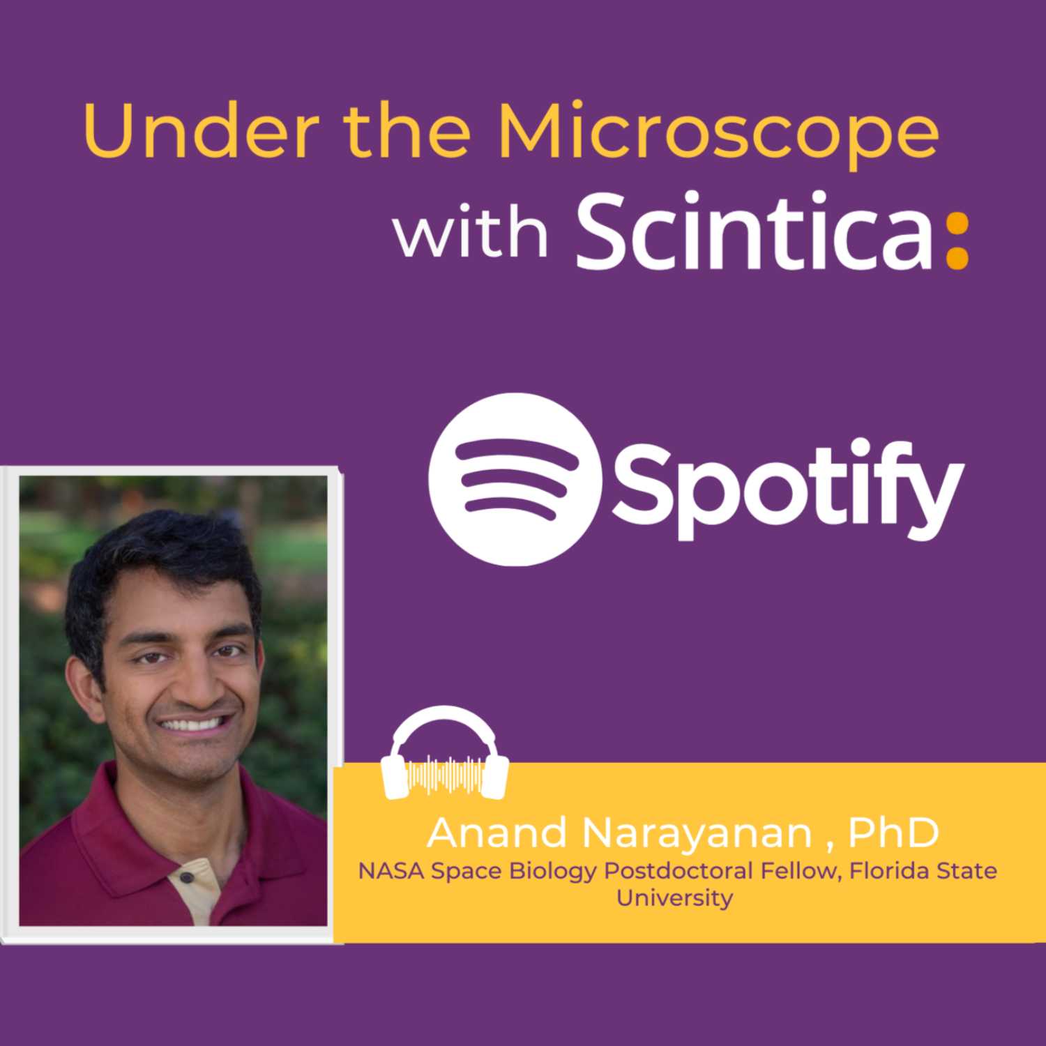 Under the Microscope With Scintica