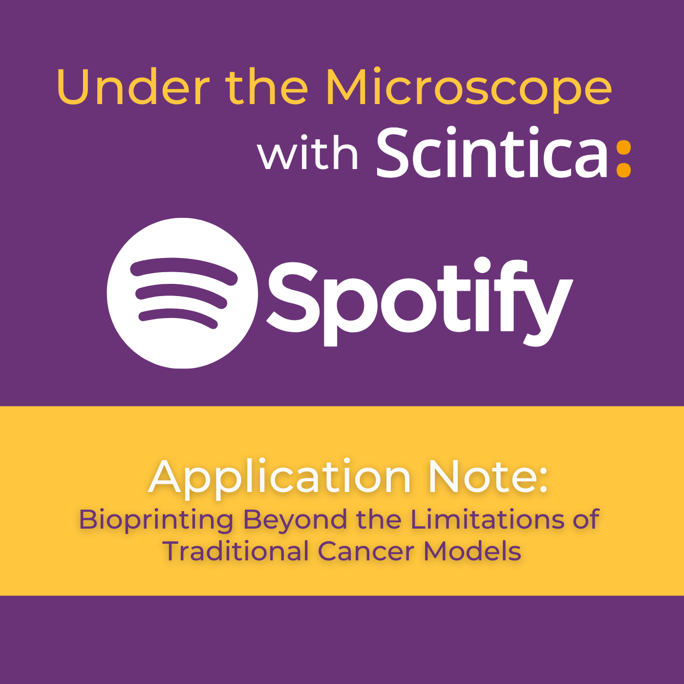 Under the Microscope With Scintica
