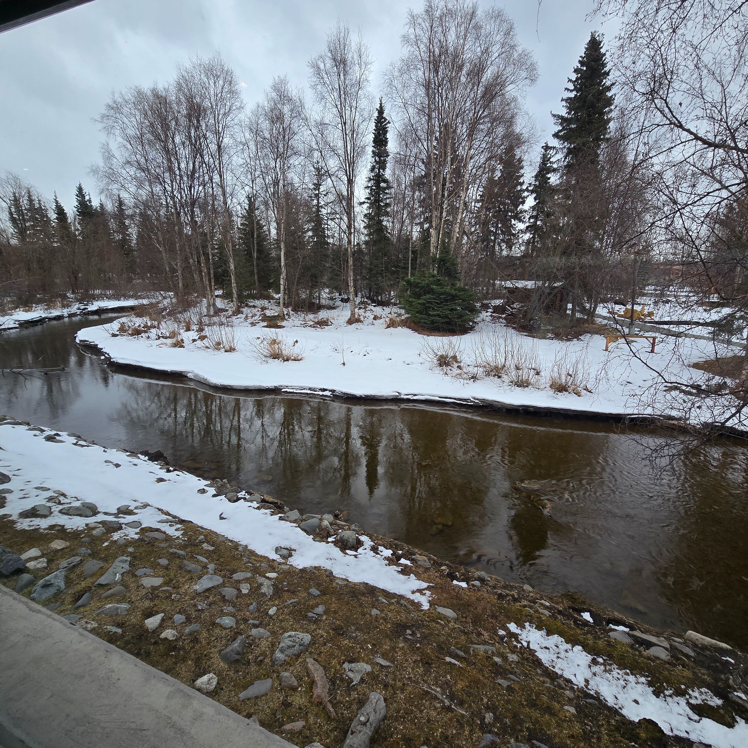 Understanding and Utilizing National CLAS standards 