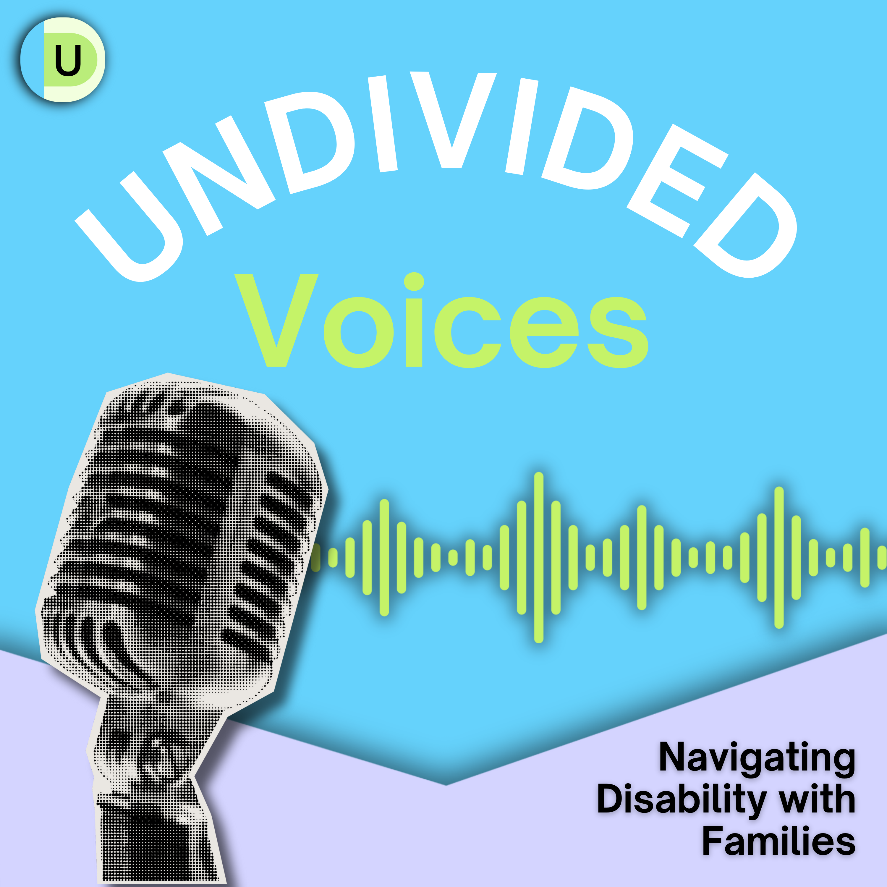 Socialization and Inclusion for Kids with Disabilities | Undivided Voices Eps. 2 episode artwork
