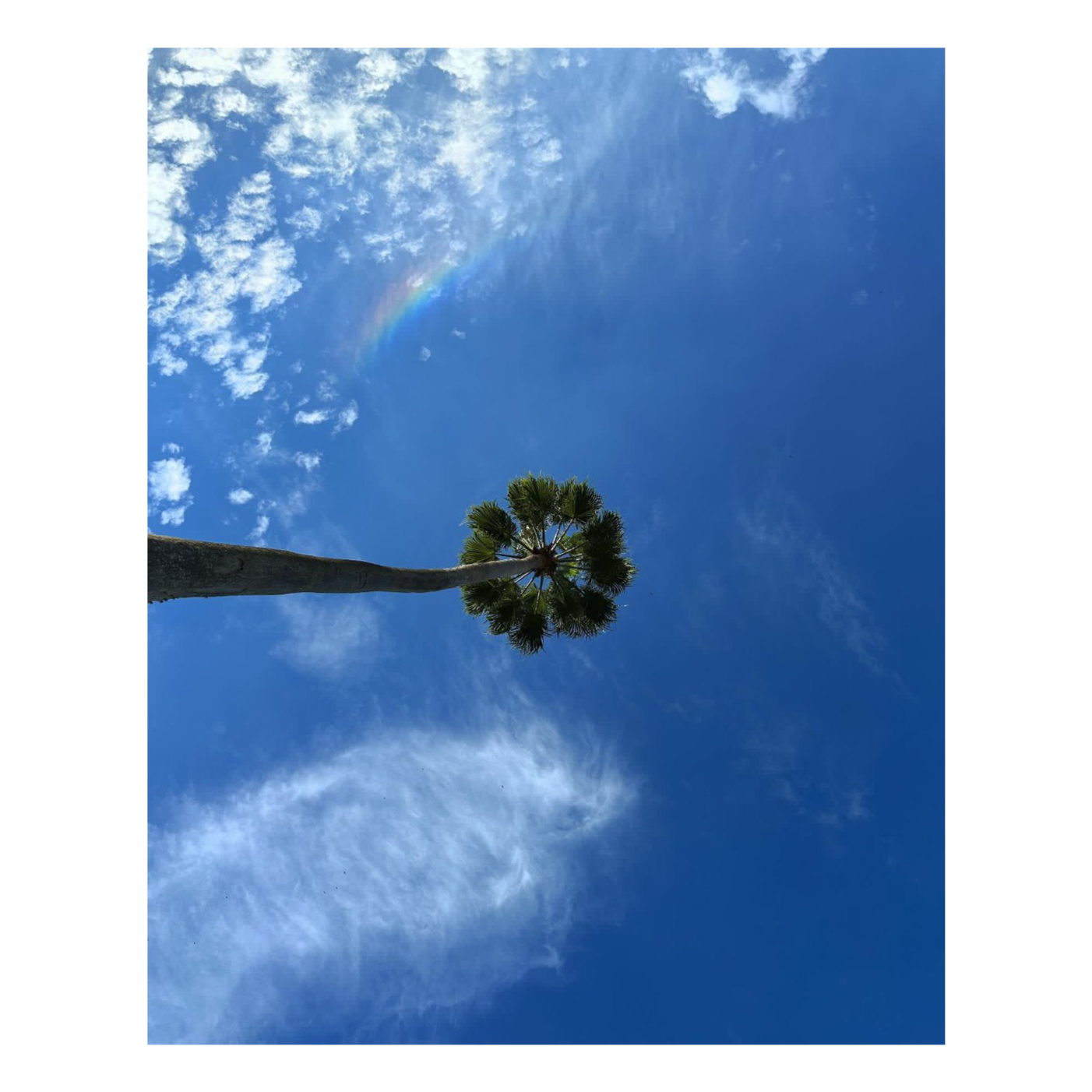 LOVER A MOVIE DISCUSSION