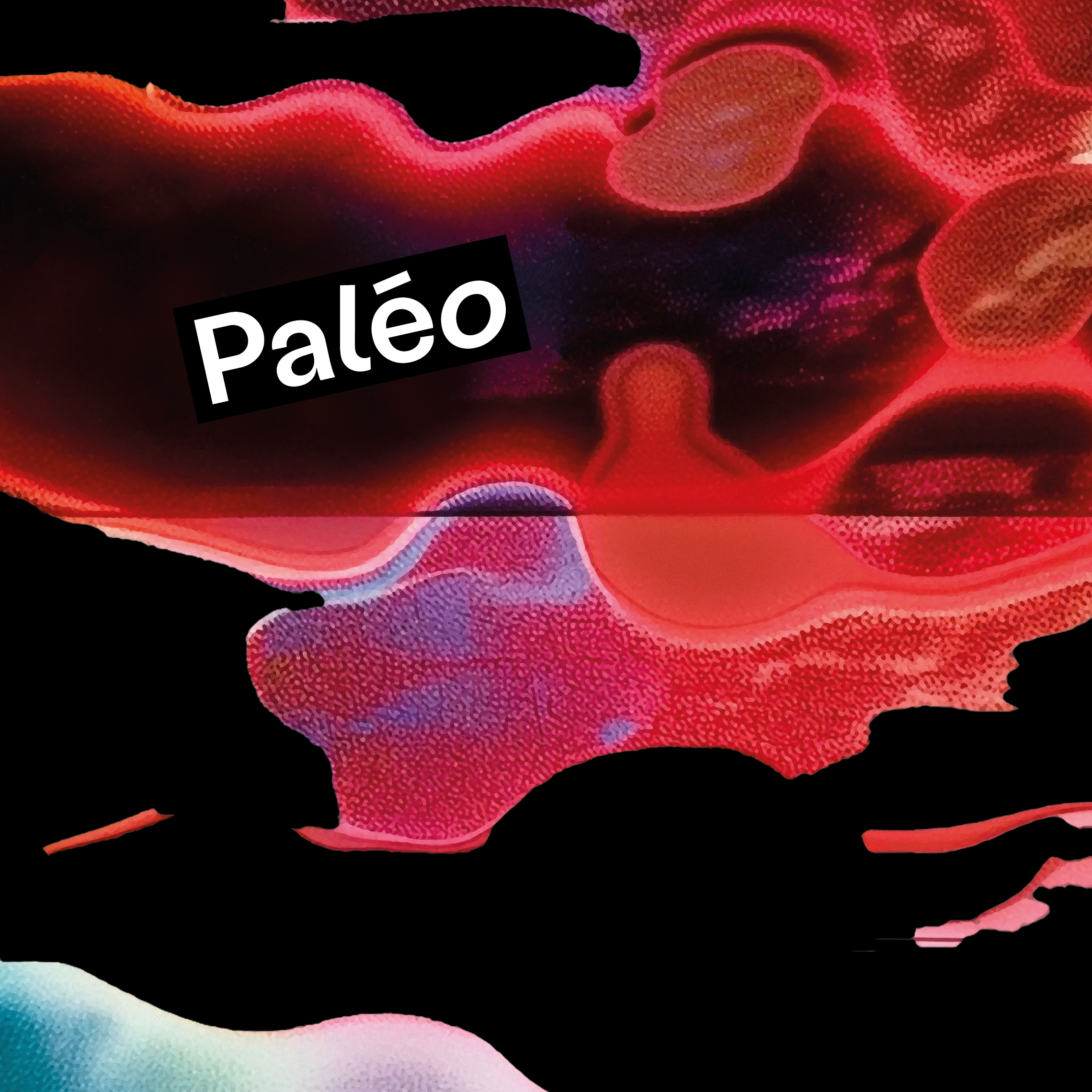 Paléo 2026 - Microtrottoir avec des bénévoles episode artwork