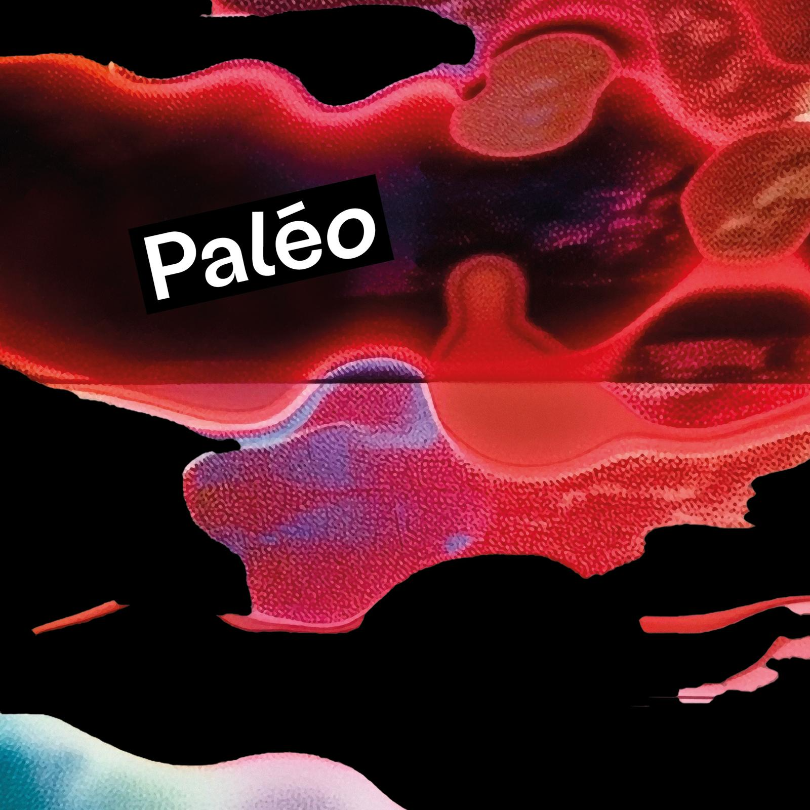 Paléo 2026 - Un festival musical, mais aussi culinaire ! episode artwork