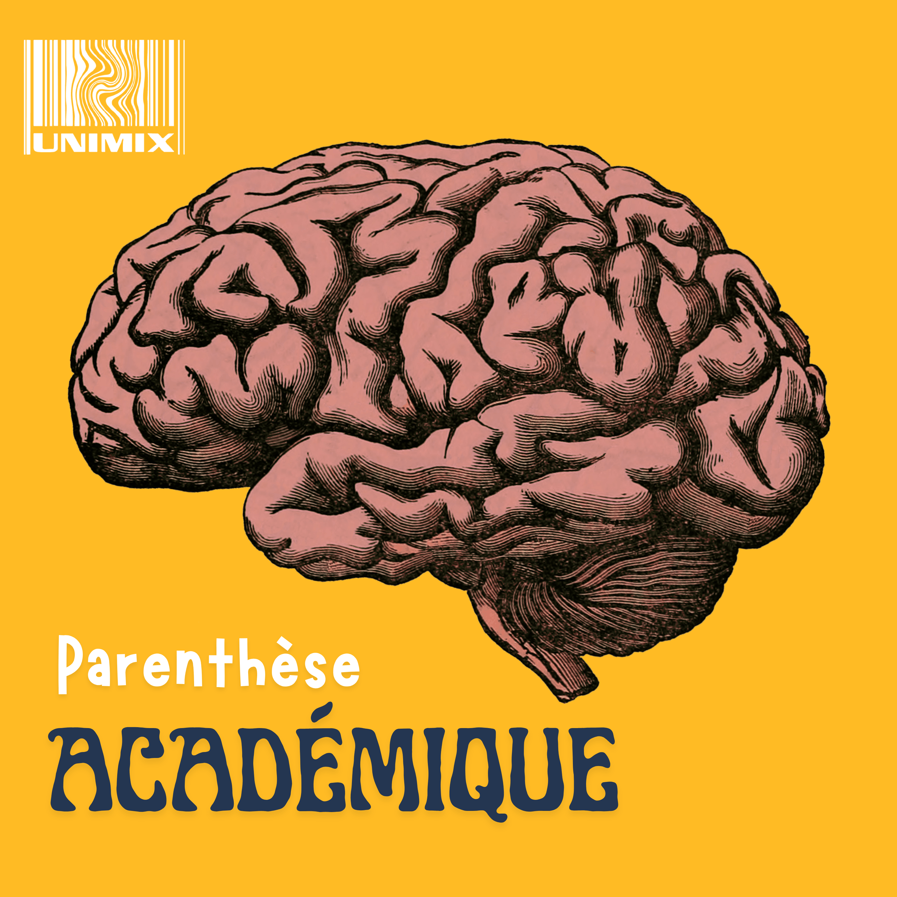 Parenthèse Académique - The Joy of reading episode artwork