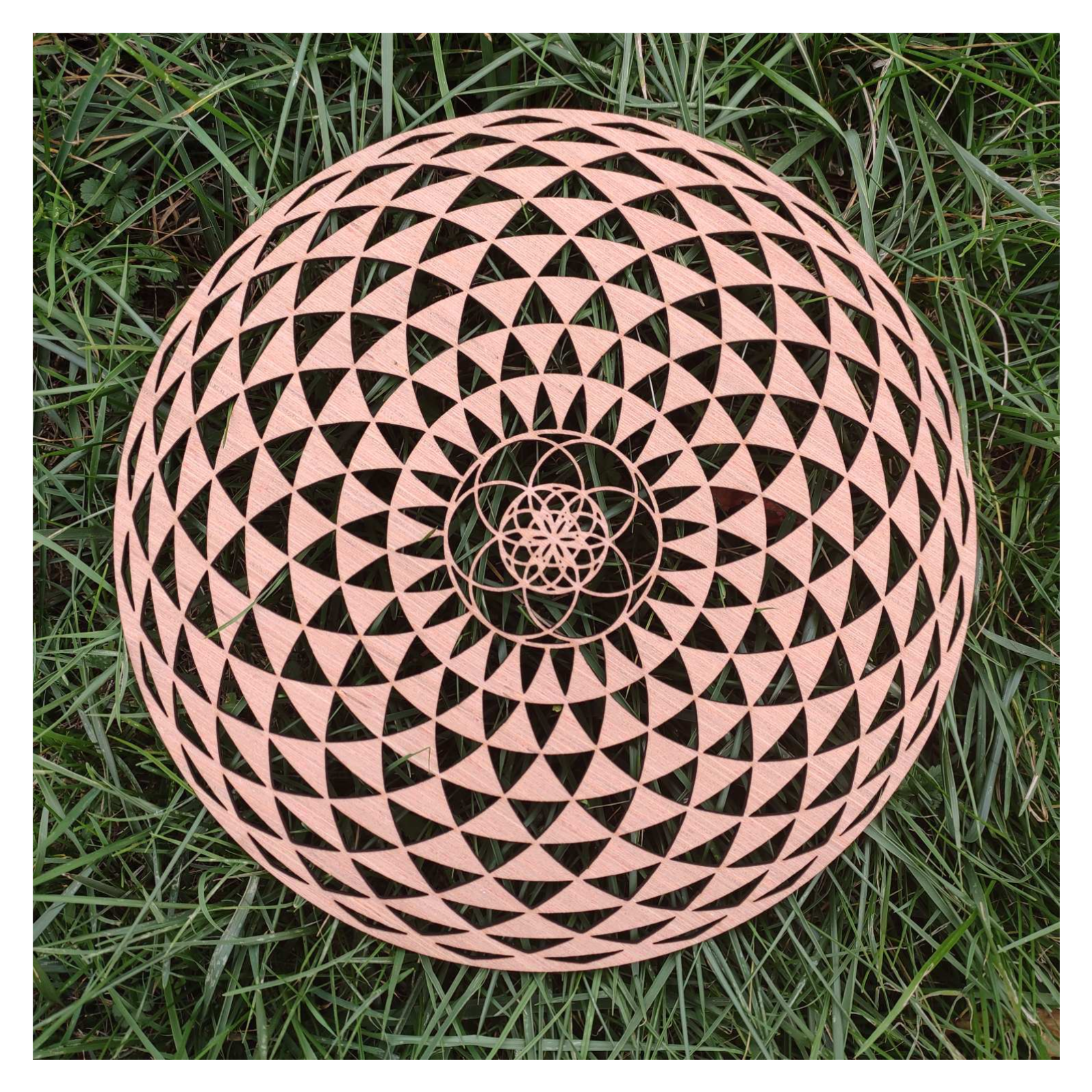 United by Conversation Project