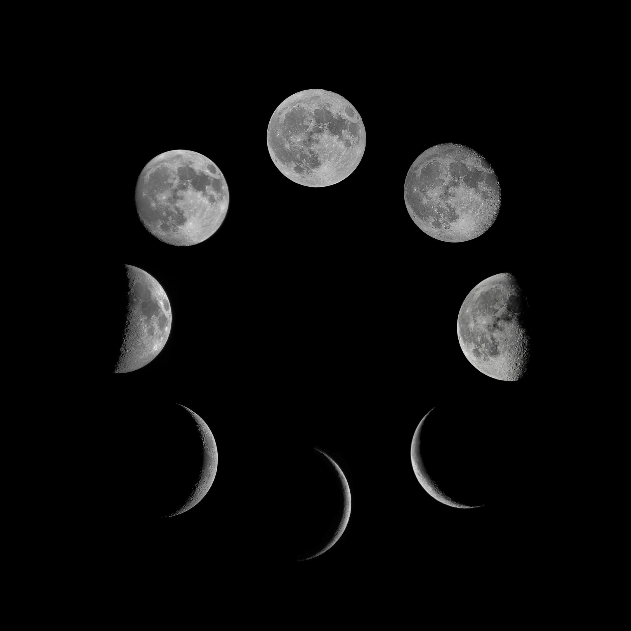Universal Rhythms: Moon Phases and Higher Conscious Living podcast artwork