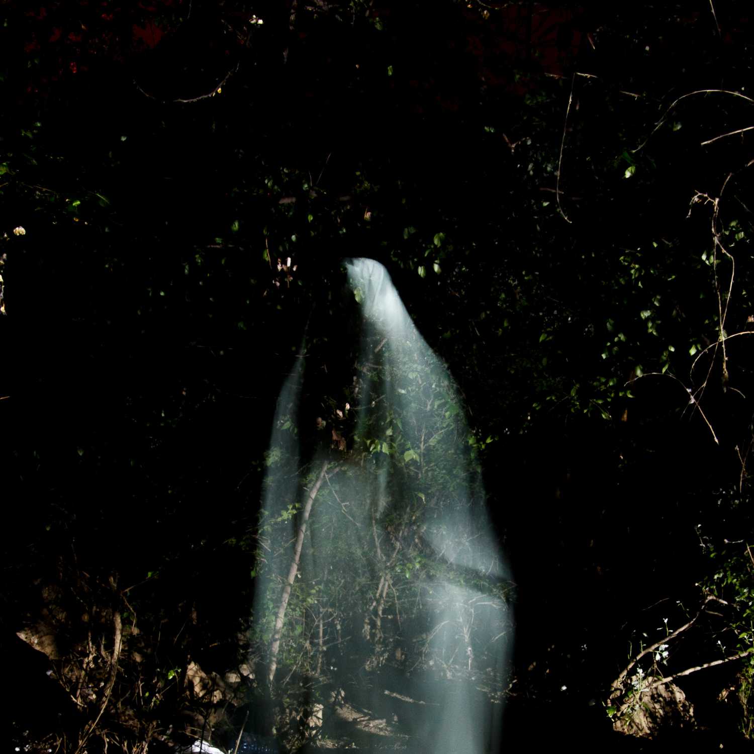 Universal Spirit