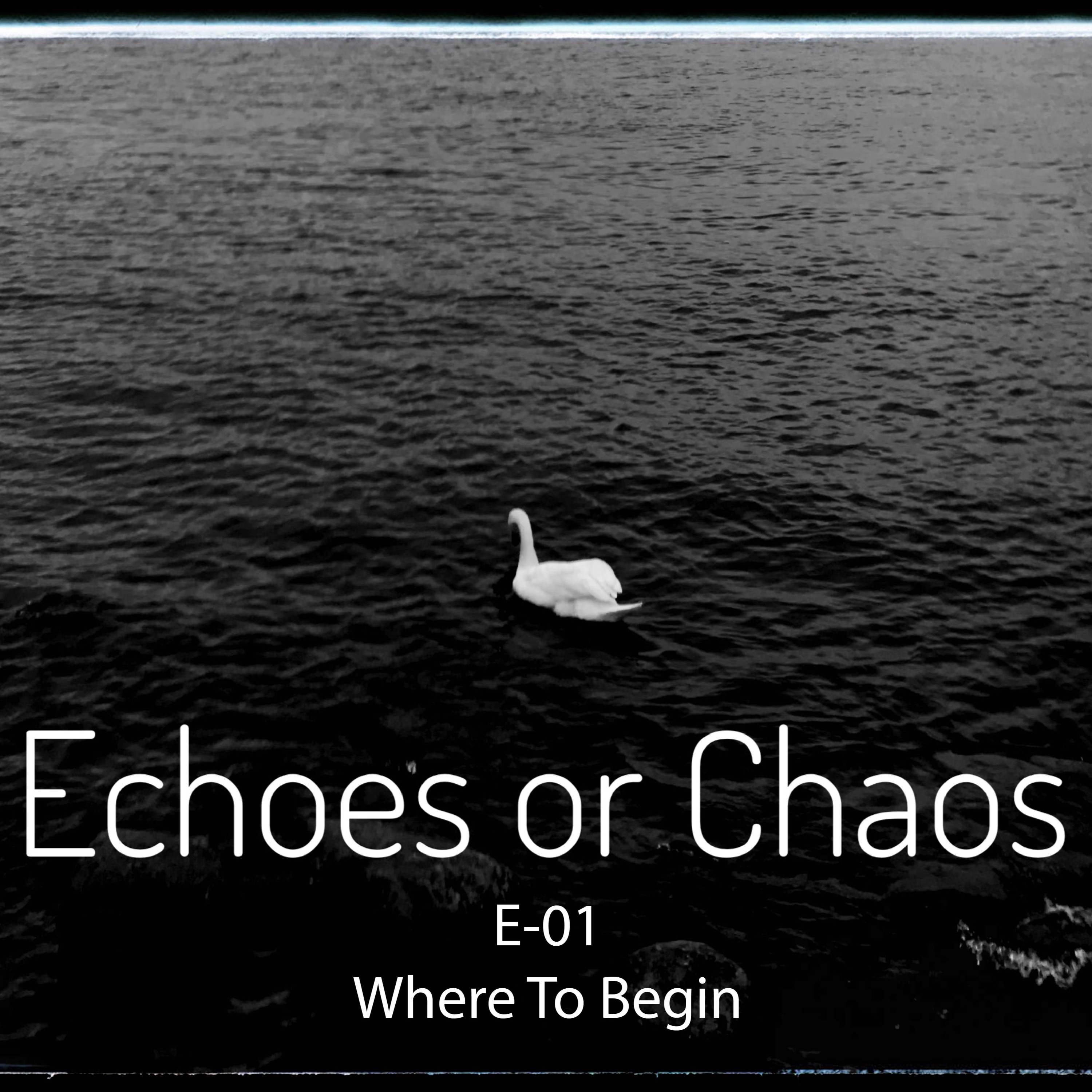 Echoes or Chaos