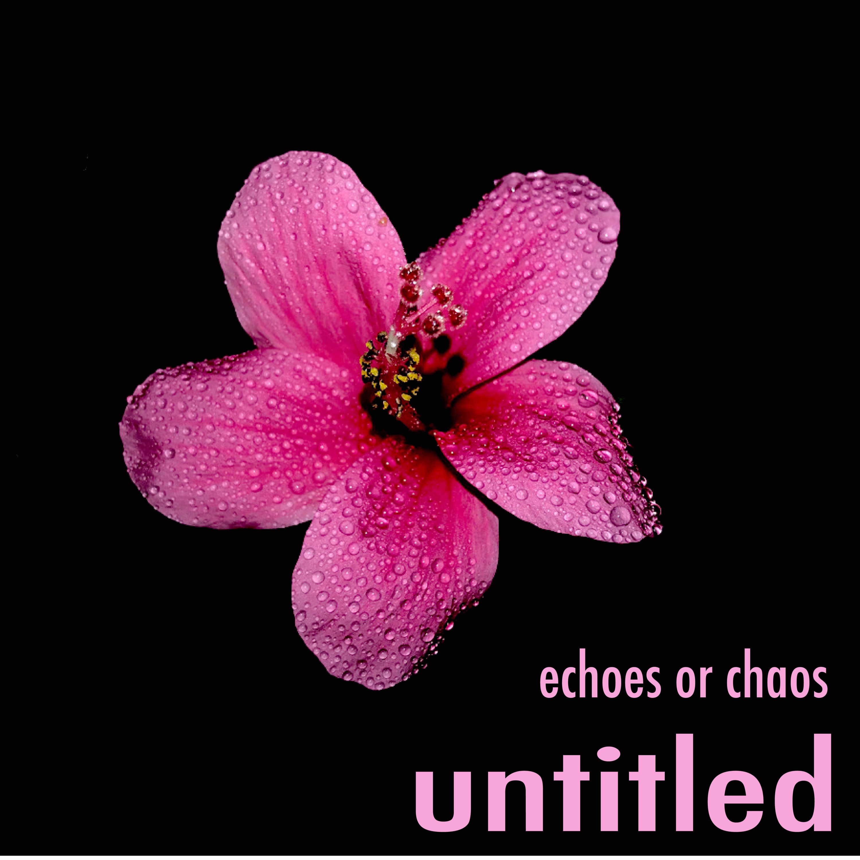 Echoes or Chaos