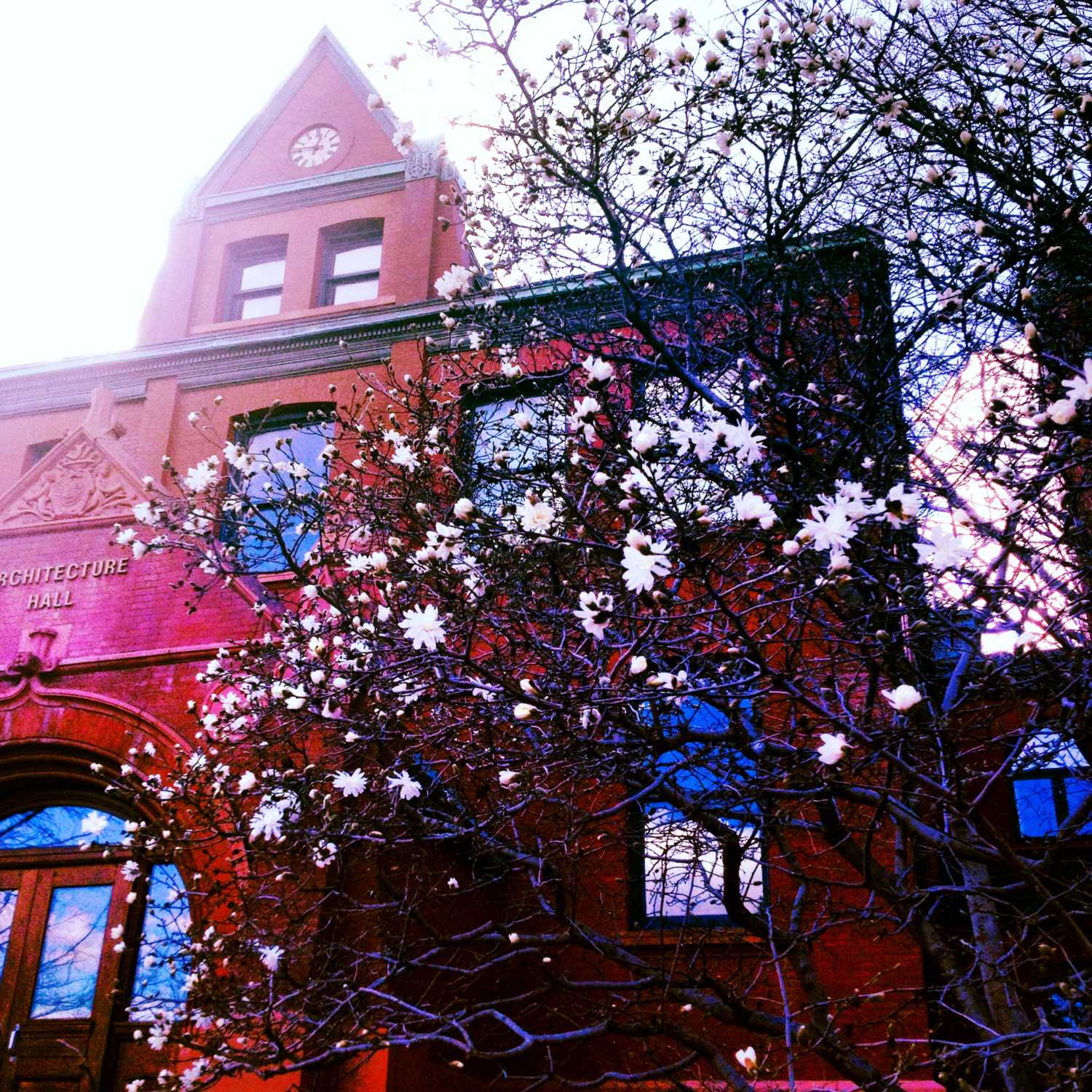 College of Architecture