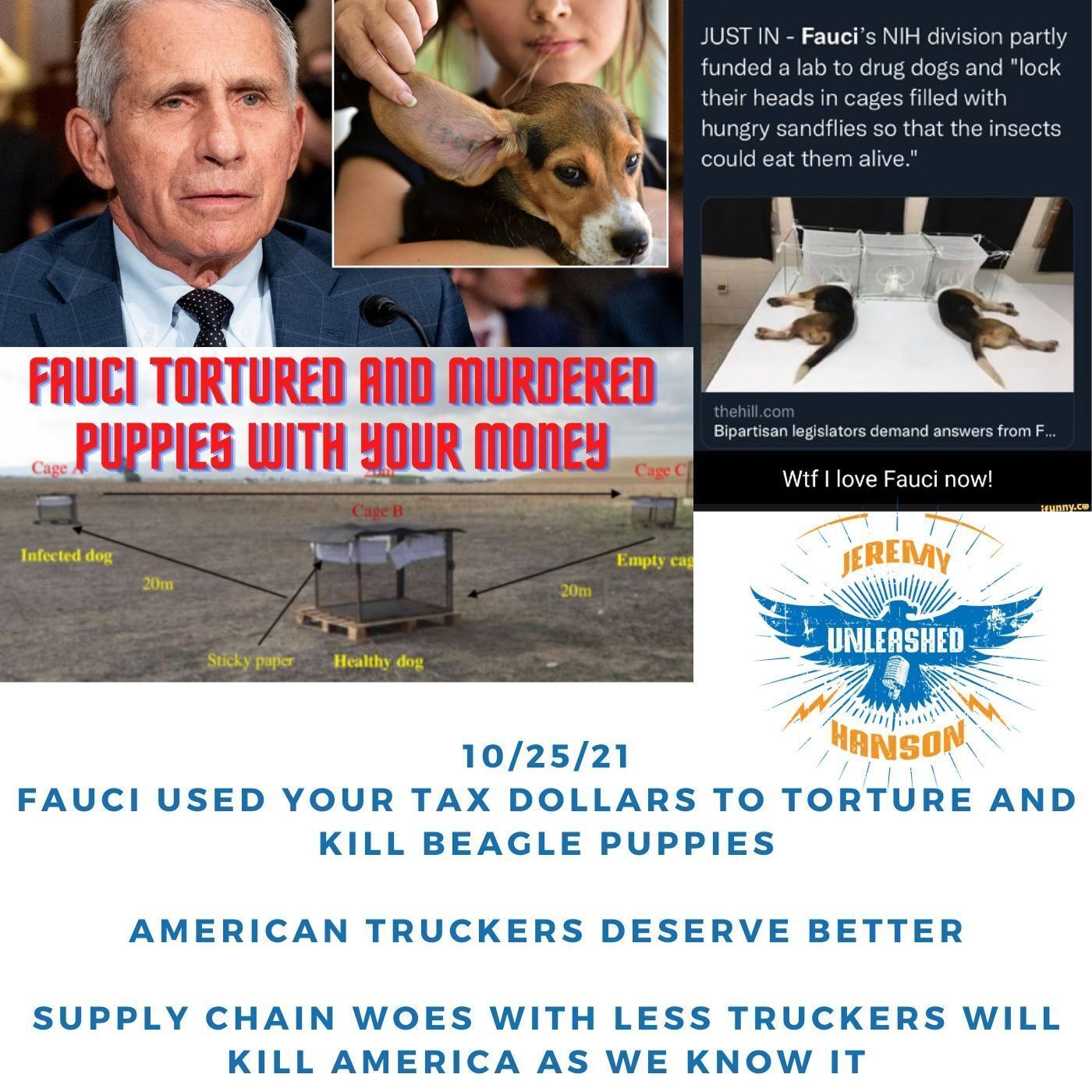 OUTRAGE  Dr. Fauci used your American tax dollars to torture and murder beagle puppies in 3 different labs! episode artwork