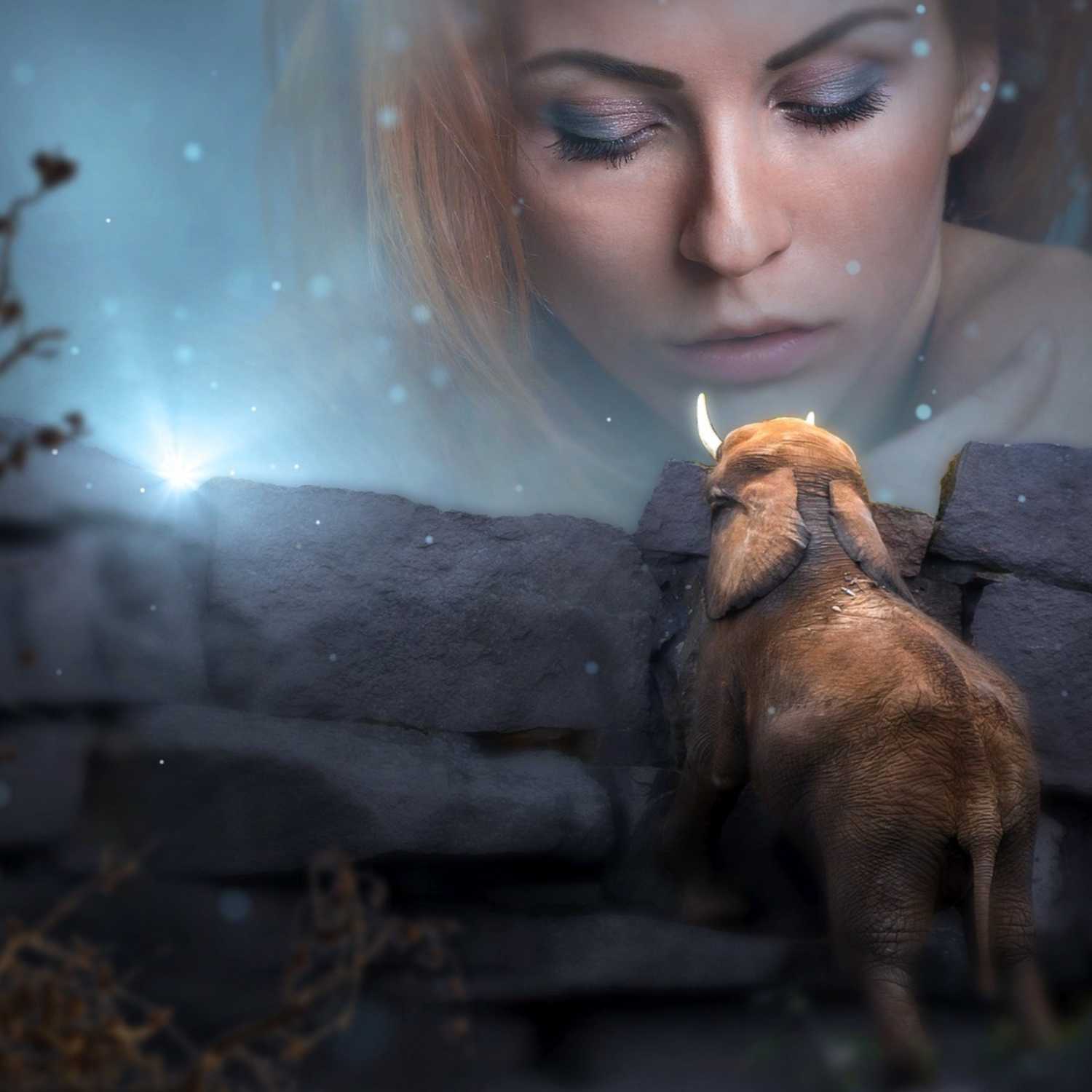 Unleashed